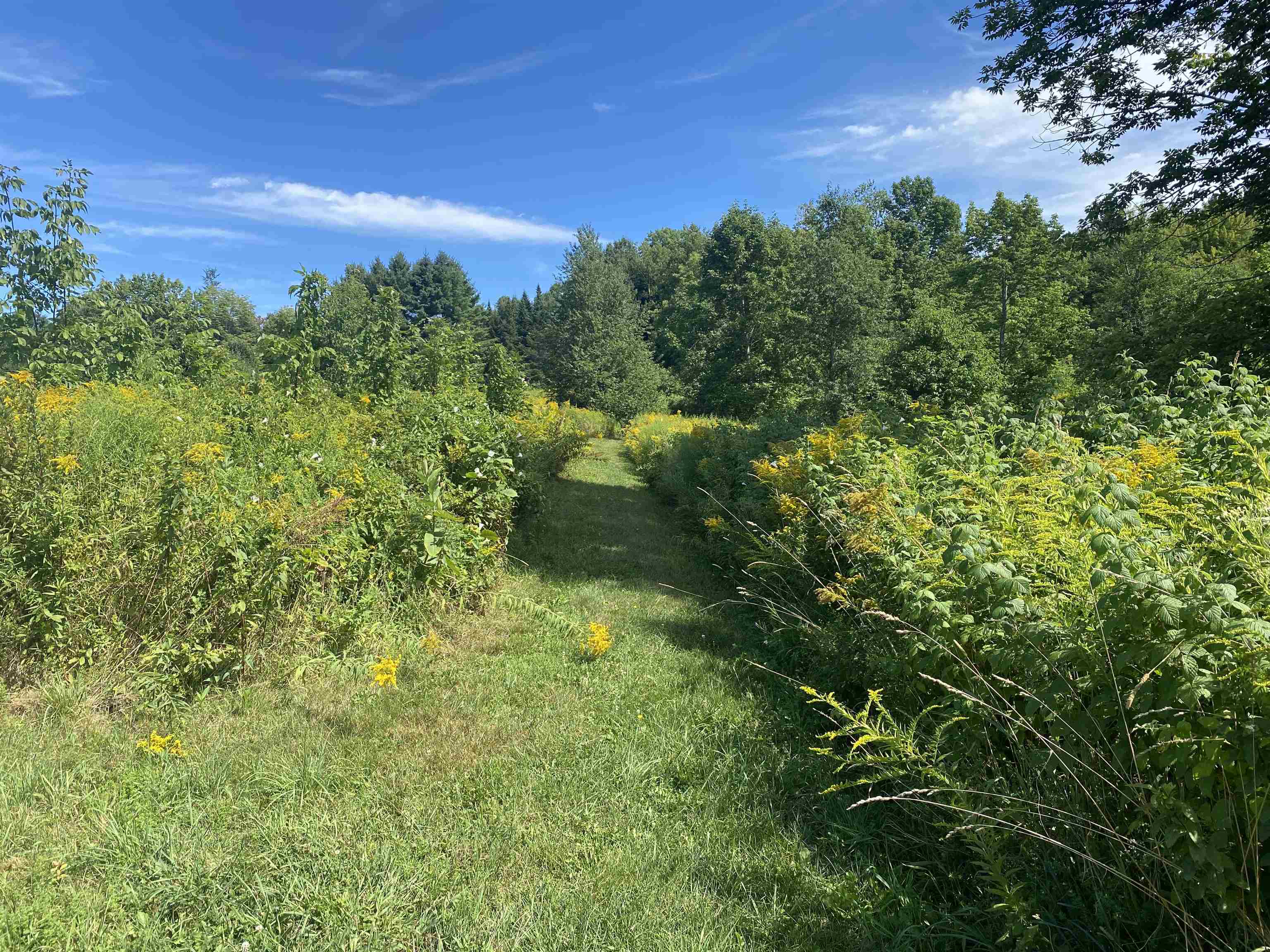 68 Sanville Road Westfield, VT 05874 - Photo 26 of 43