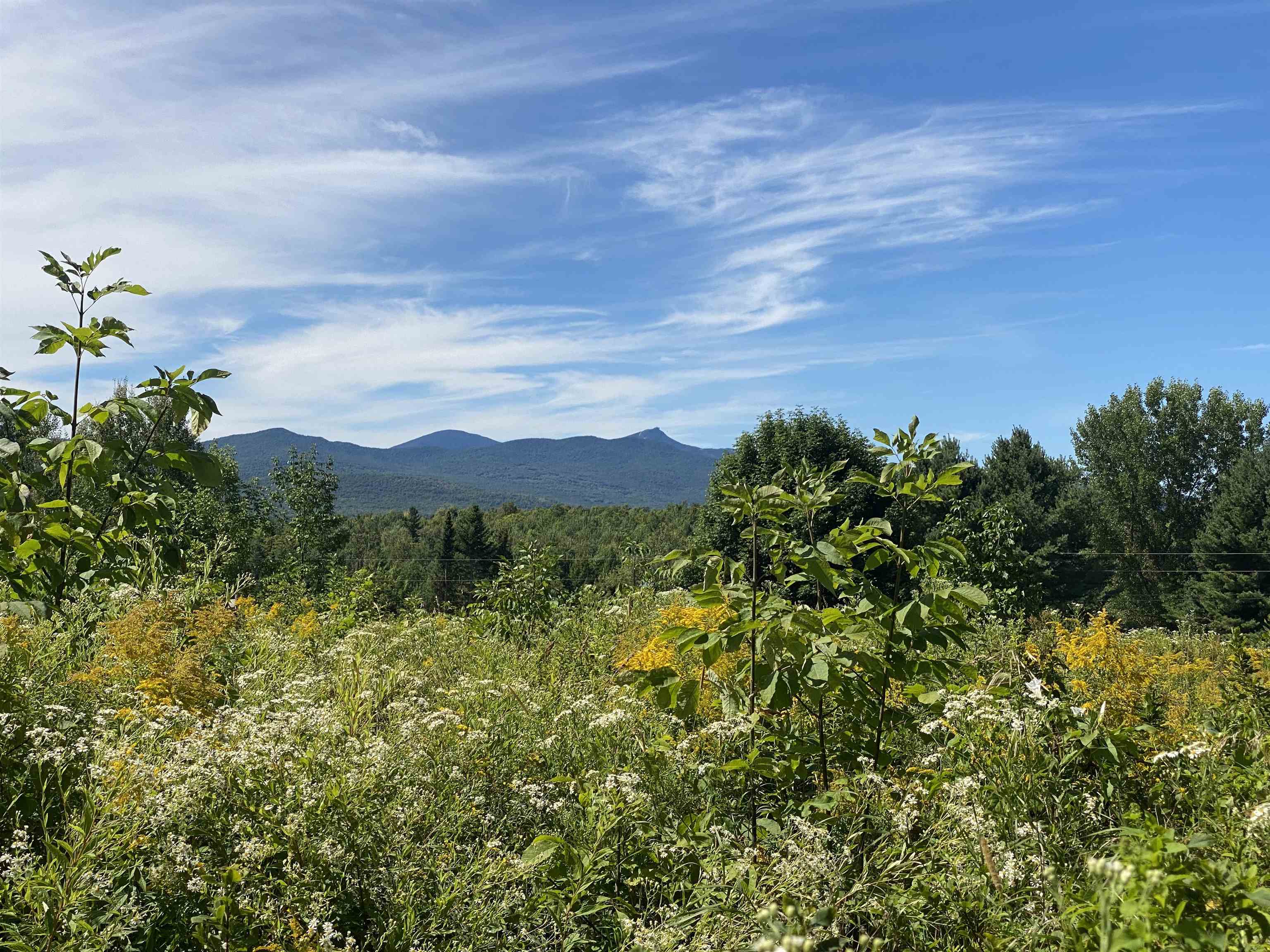 68 Sanville Road Westfield, VT 05874 - Photo 27 of 43