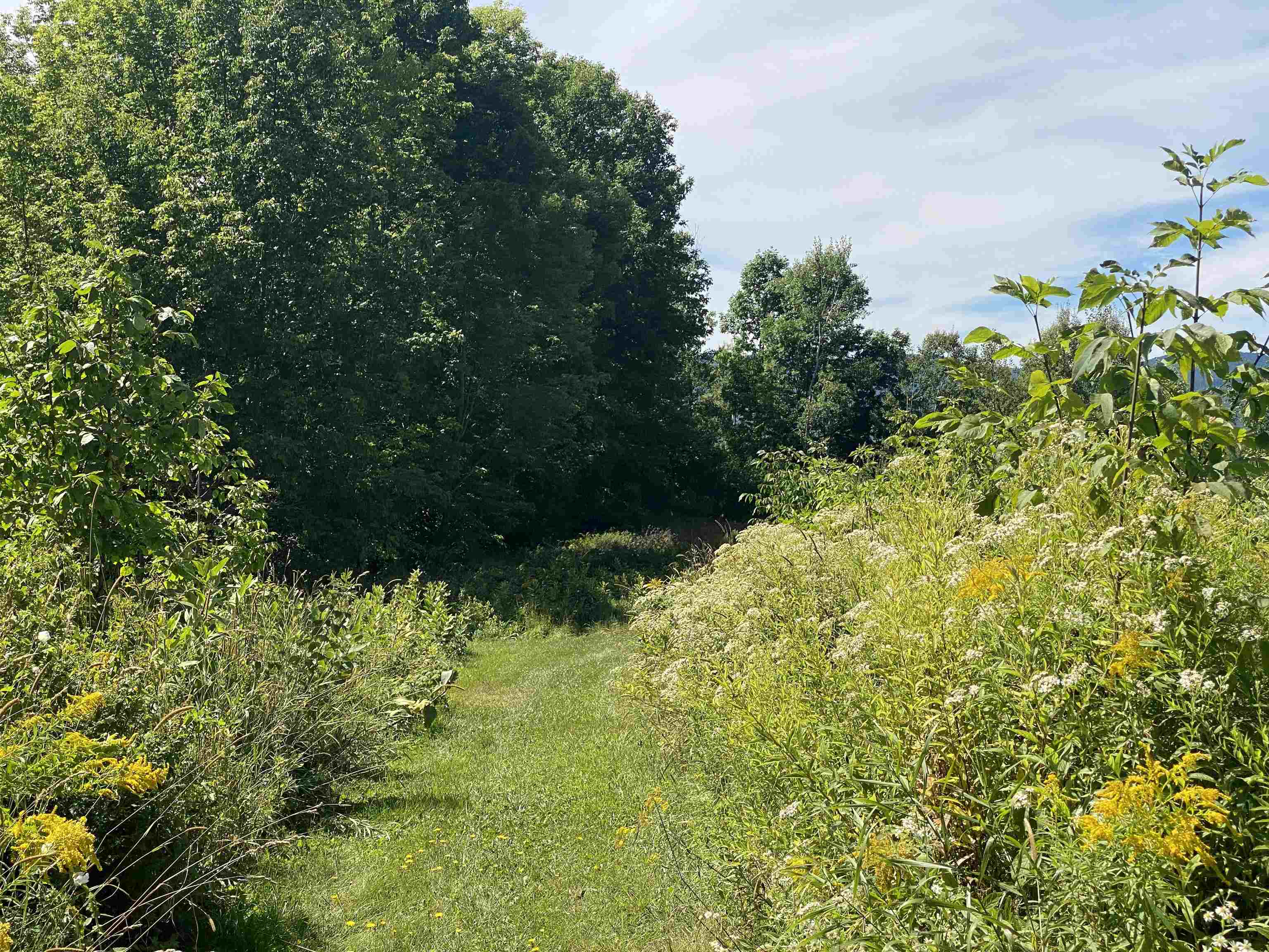 68 Sanville Road Westfield, VT 05874 - Photo 28 of 43