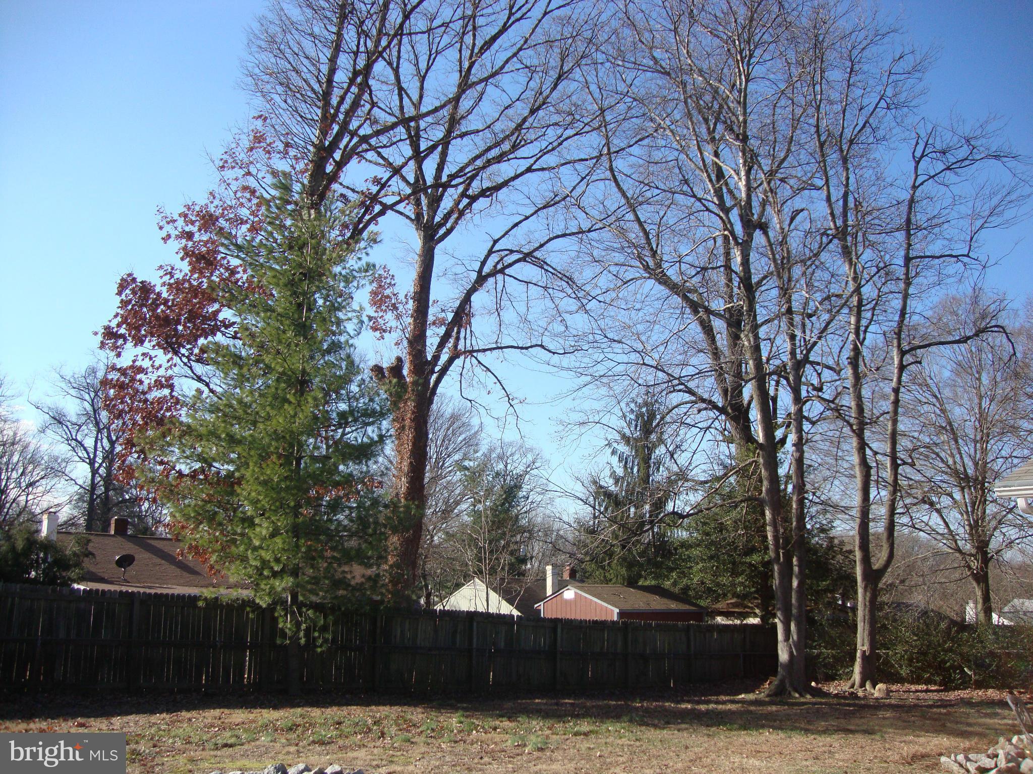 7310 Exmore Street Springfield, VA 22150 - Photo 22 of 25 Exterior (Rear)