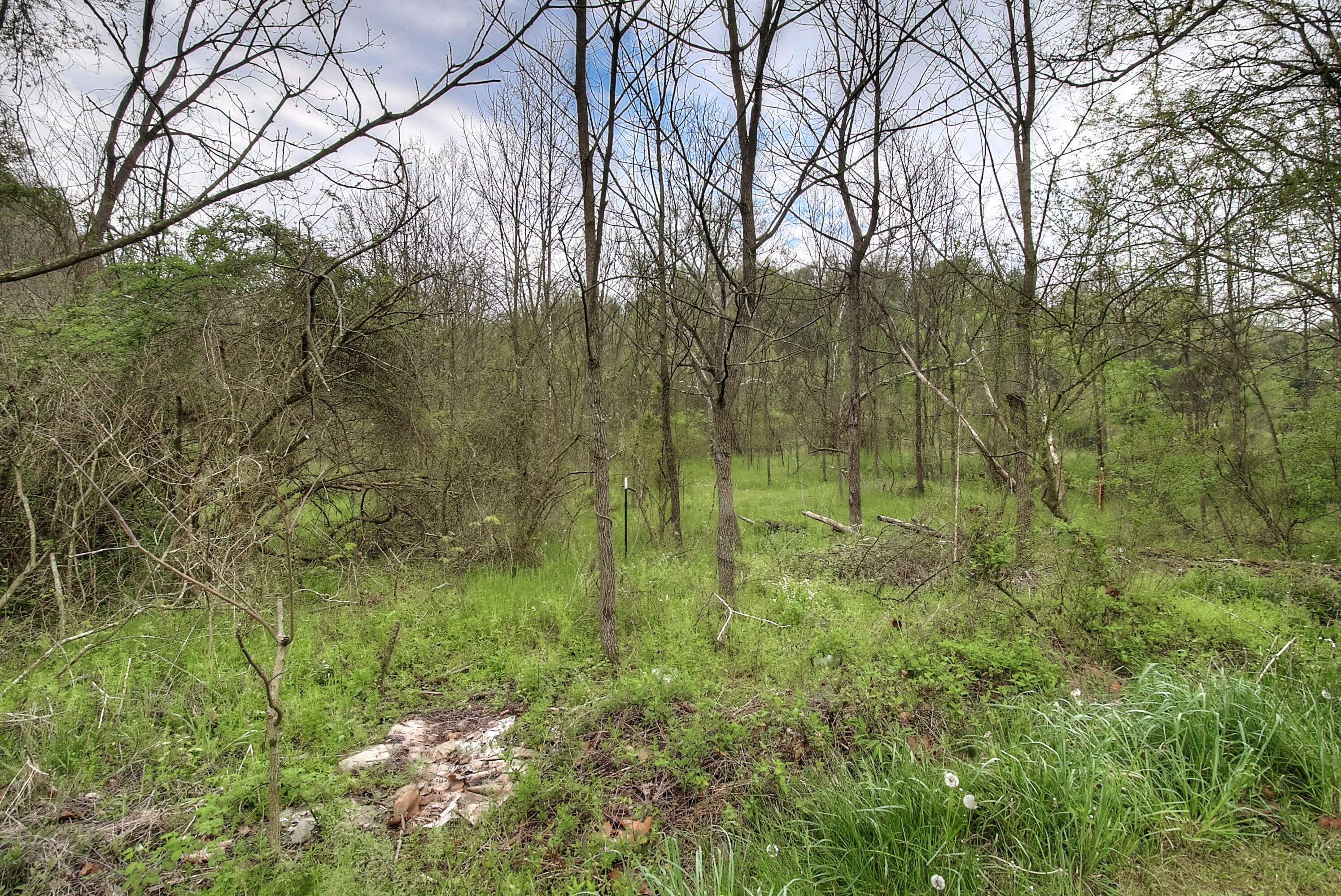 1700 Happy Valley Road Limestone, TN 37681 - Photo 25 of 26 DSC_0205And8more5