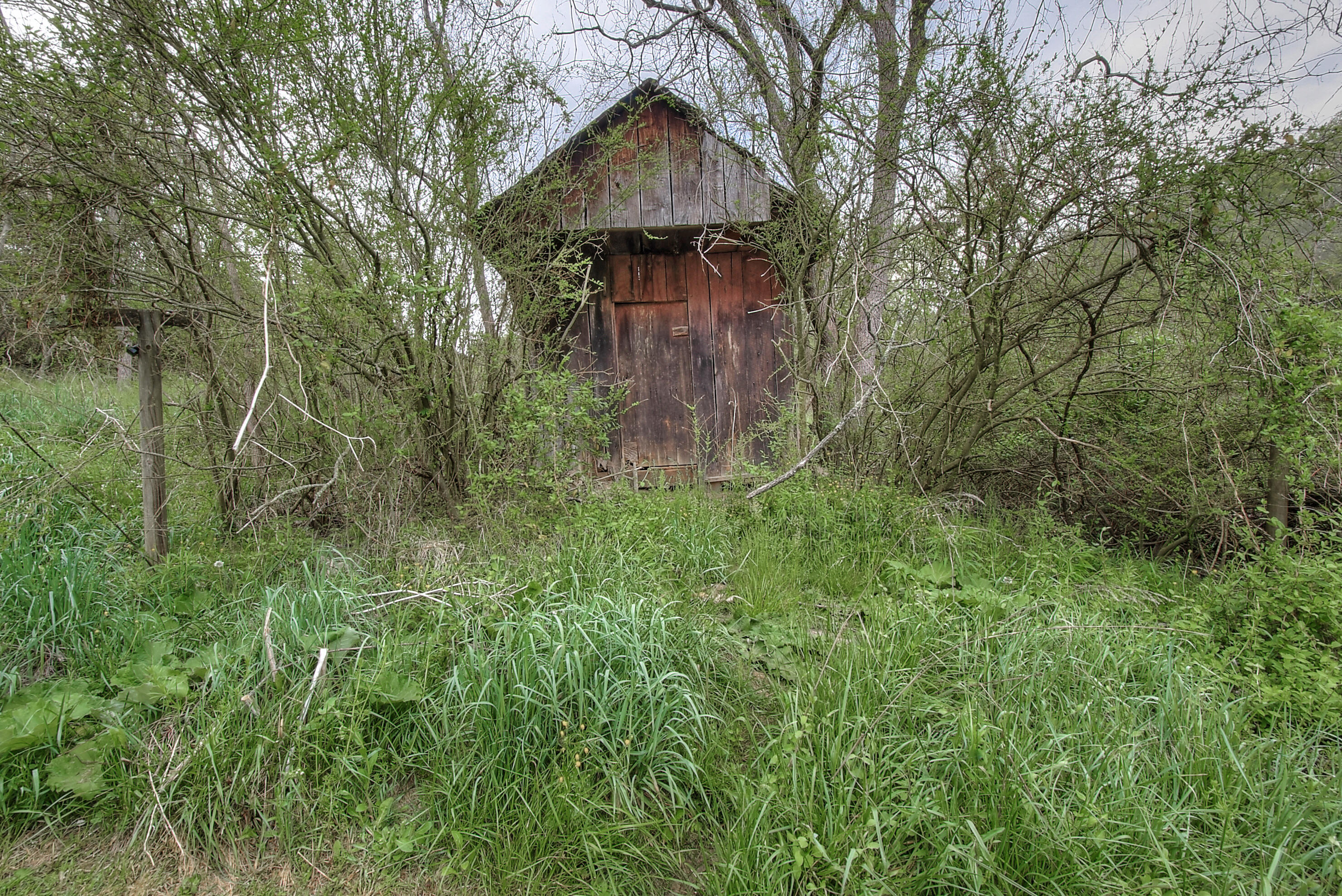 1700 Happy Valley Road Limestone, TN 37681 - Photo 26 of 26 DSC_0205And8more6