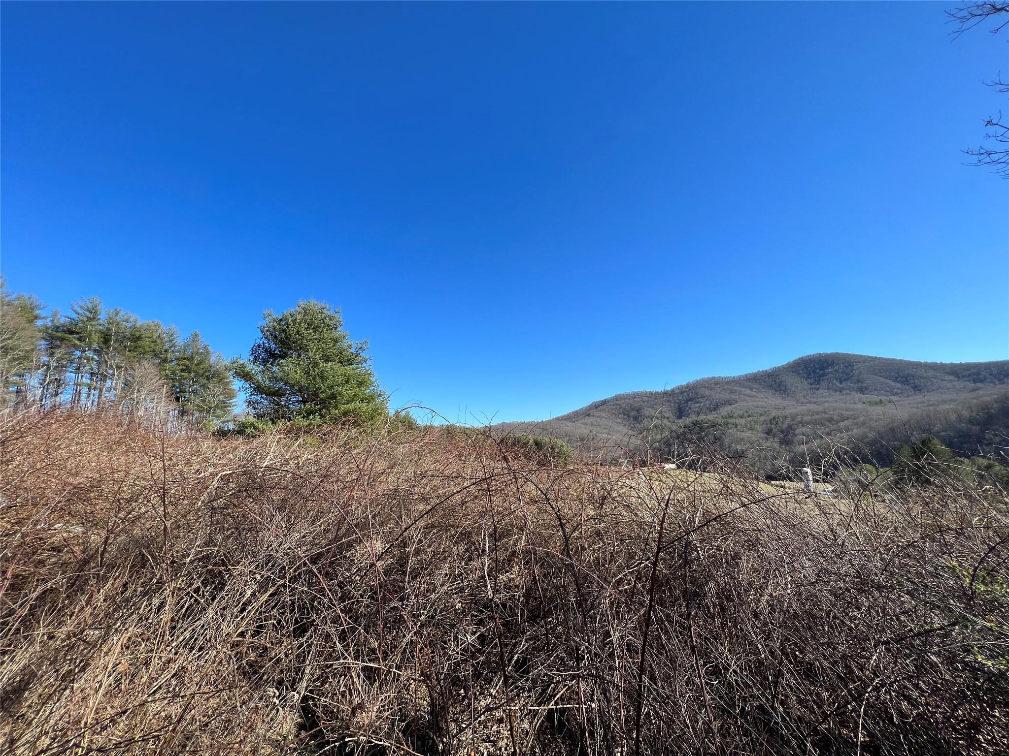 12 River Watch Trail Crumpler, NC 28617 - Photo 1 of 16 a view of a mountain