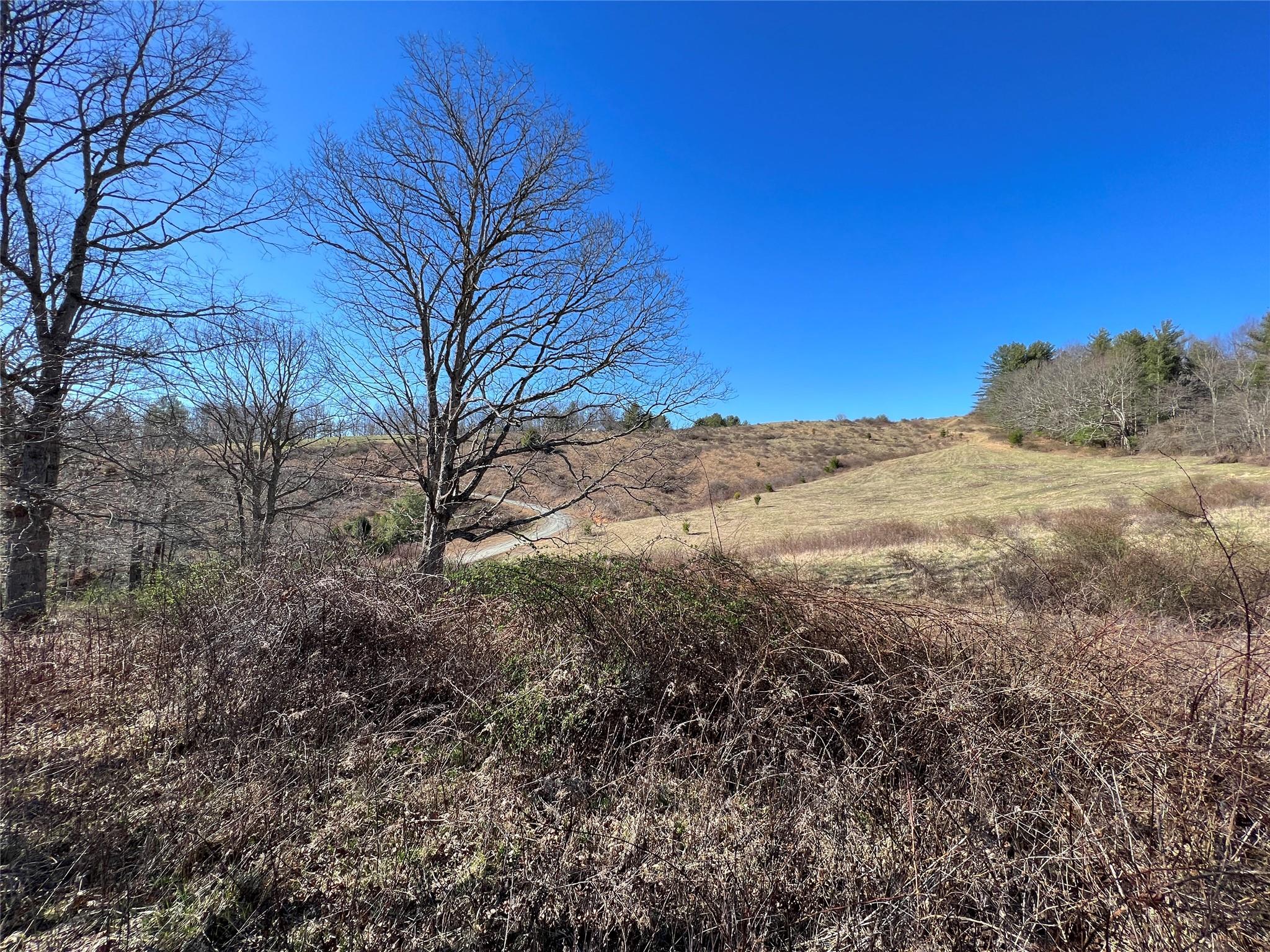 12 River Watch Trail Crumpler, NC 28617 - Photo 2 of 16 a view of a dry yard with lots of bushes
