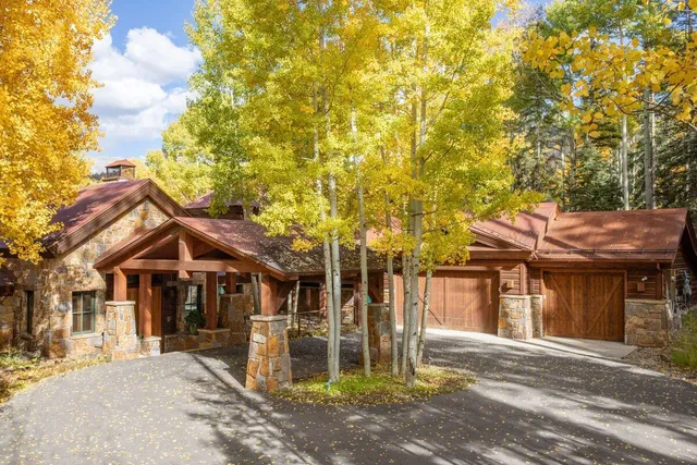 a view of a bunch of trees