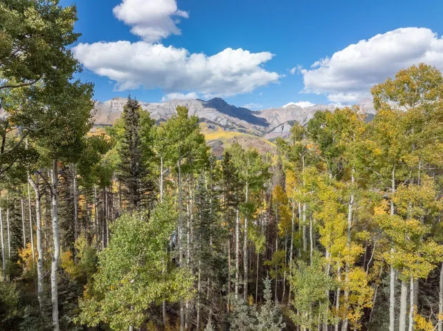 $12,500,000 | 123 Autumn Lane, Mountain Village, CO 81435