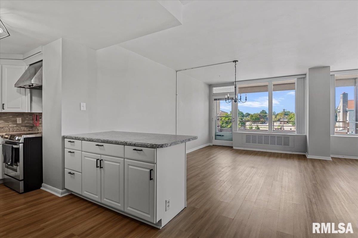 718 South 7th Street, Unit 302 Springfield, IL 62703 - Photo 41 of 47 Gallery Image 41