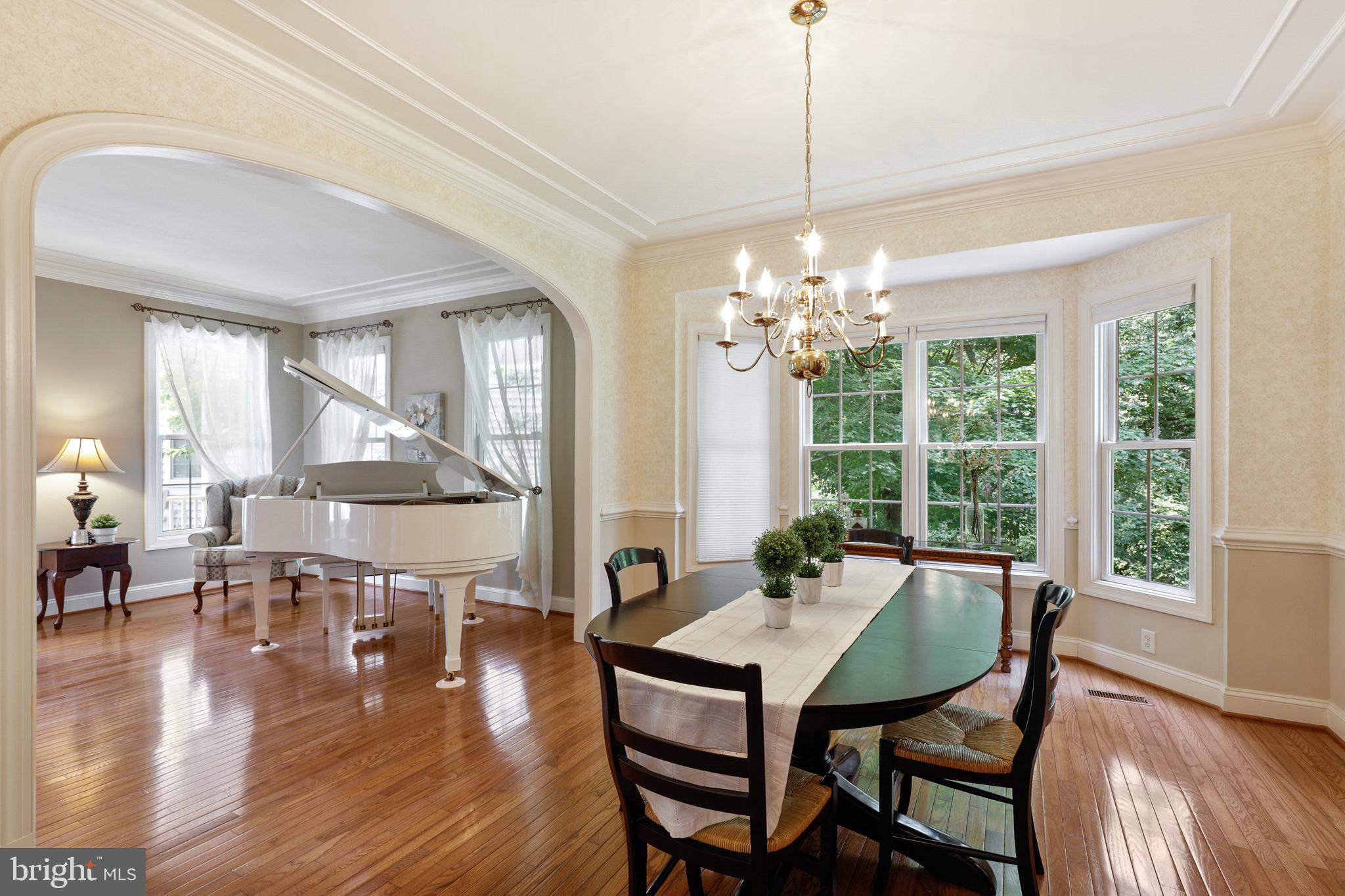 10181 Deep Skies Drive Laurel, MD 20723 - Photo 15 of 62 Crown molding details