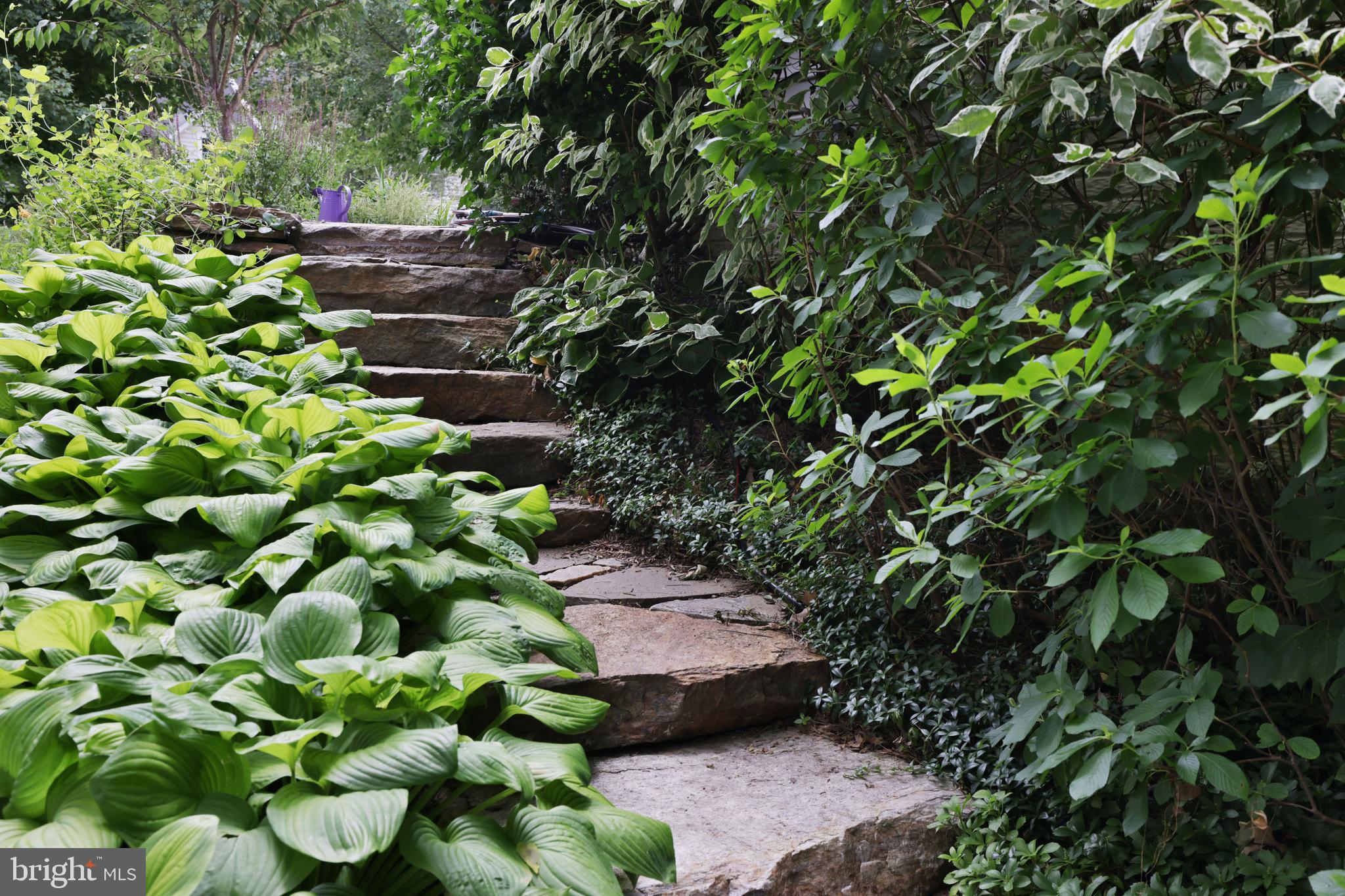 10181 Deep Skies Drive Laurel, MD 20723 - Photo 46 of 62