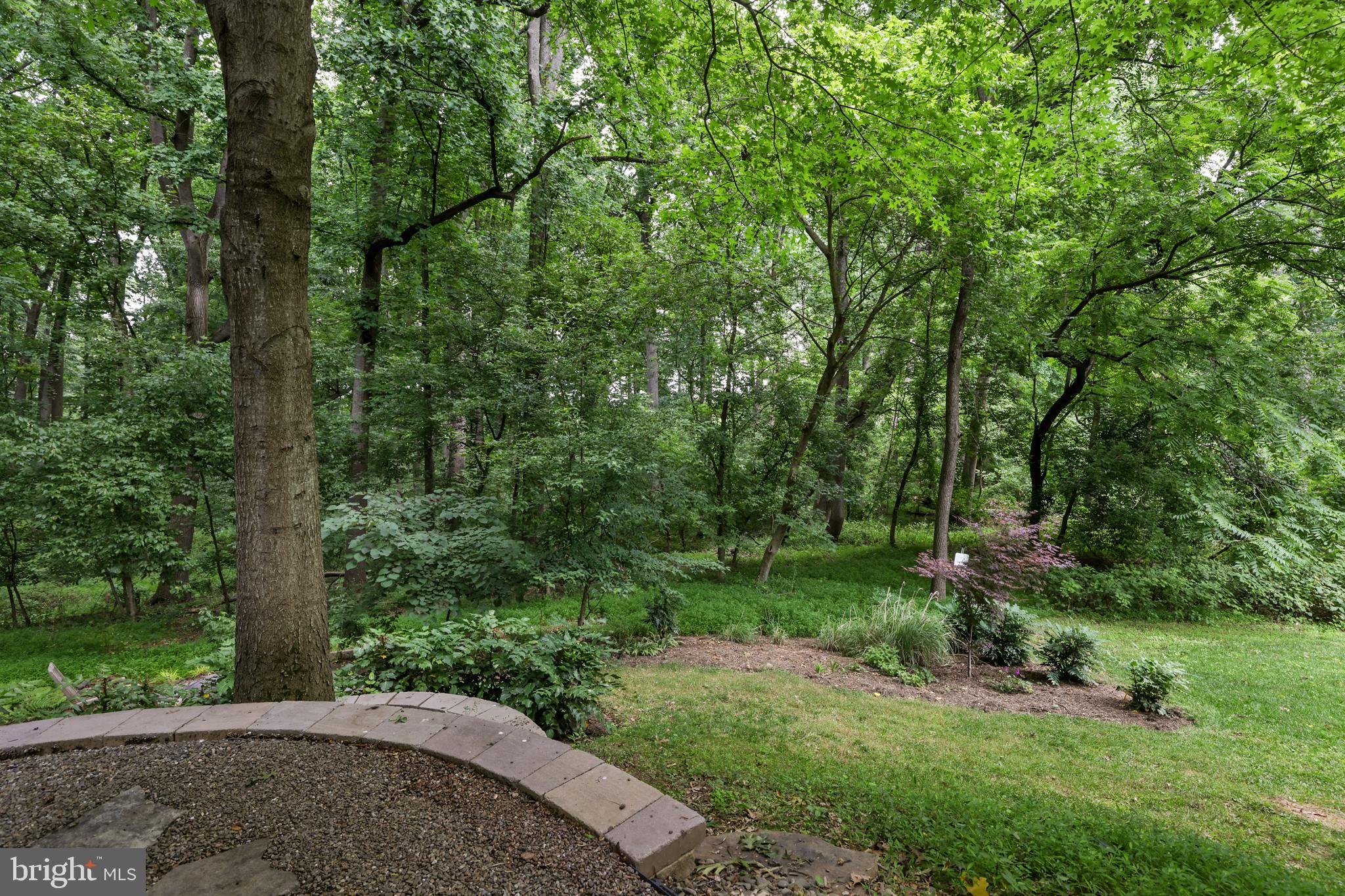 10181 Deep Skies Drive Laurel, MD 20723 - Photo 51 of 62