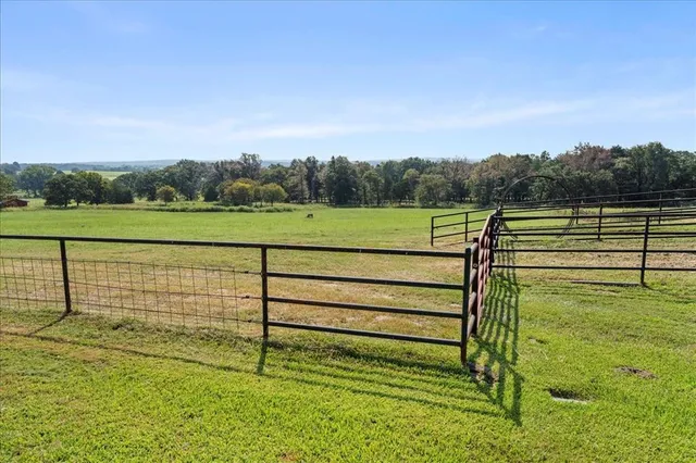 a view of outdoor space and yard