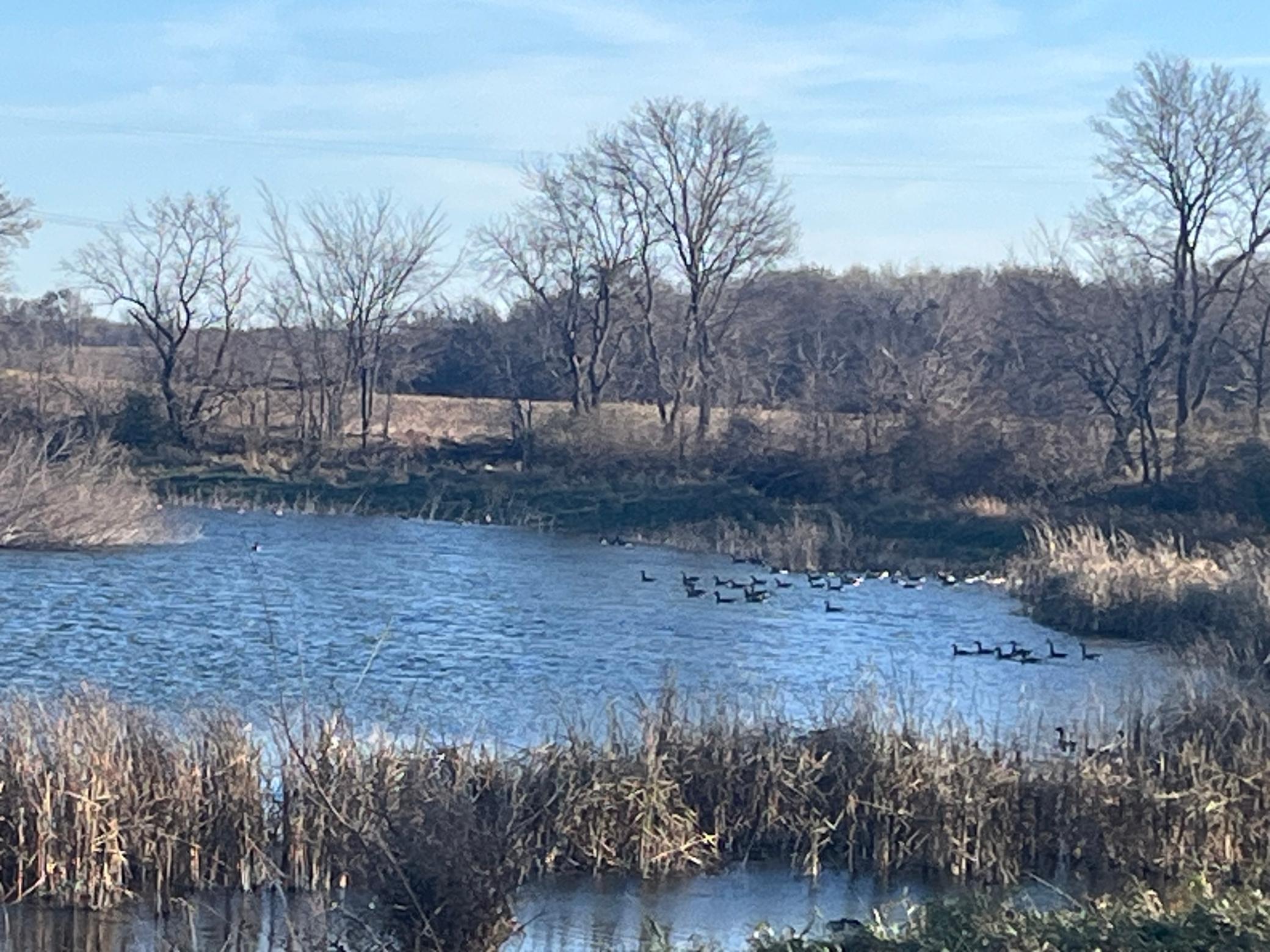 18345 102nd Street Young America, MN 55397 - Photo 1 of 24