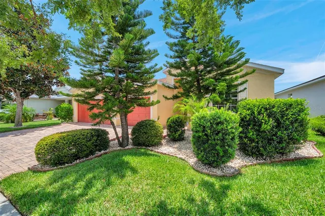 a view of a garden with large trees