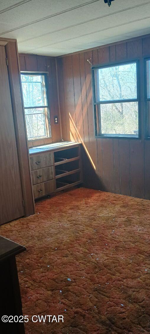 3205 Foundry Hill Road Puryear, TN 38251 - Photo 15 of 23 After Cleanout Foundry HIll34