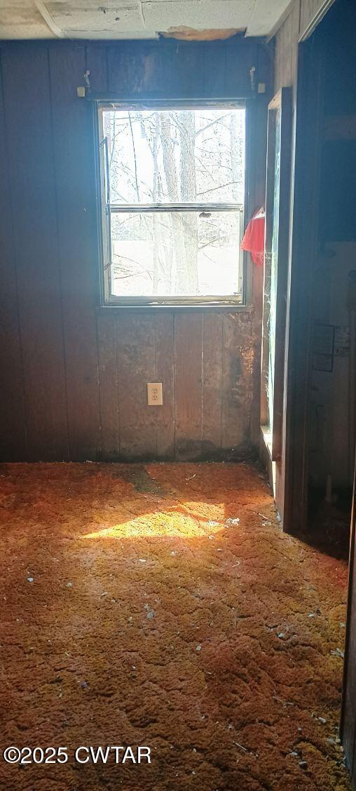 3205 Foundry Hill Road Puryear, TN 38251 - Photo 19 of 23 After Cleanout Foundry HIll46