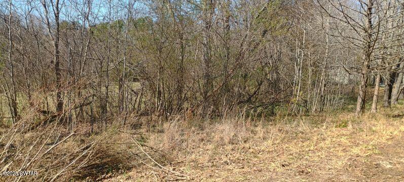 3205 Foundry Hill Road Puryear, TN 38251 - Photo 2 of 23 After Cleanout Foundry HIll2