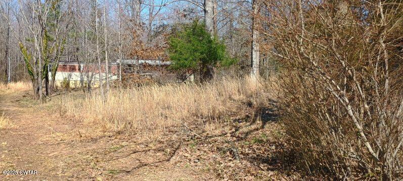 3205 Foundry Hill Road Puryear, TN 38251 - Photo 3 of 23 After Cleanout Foundry HIll3