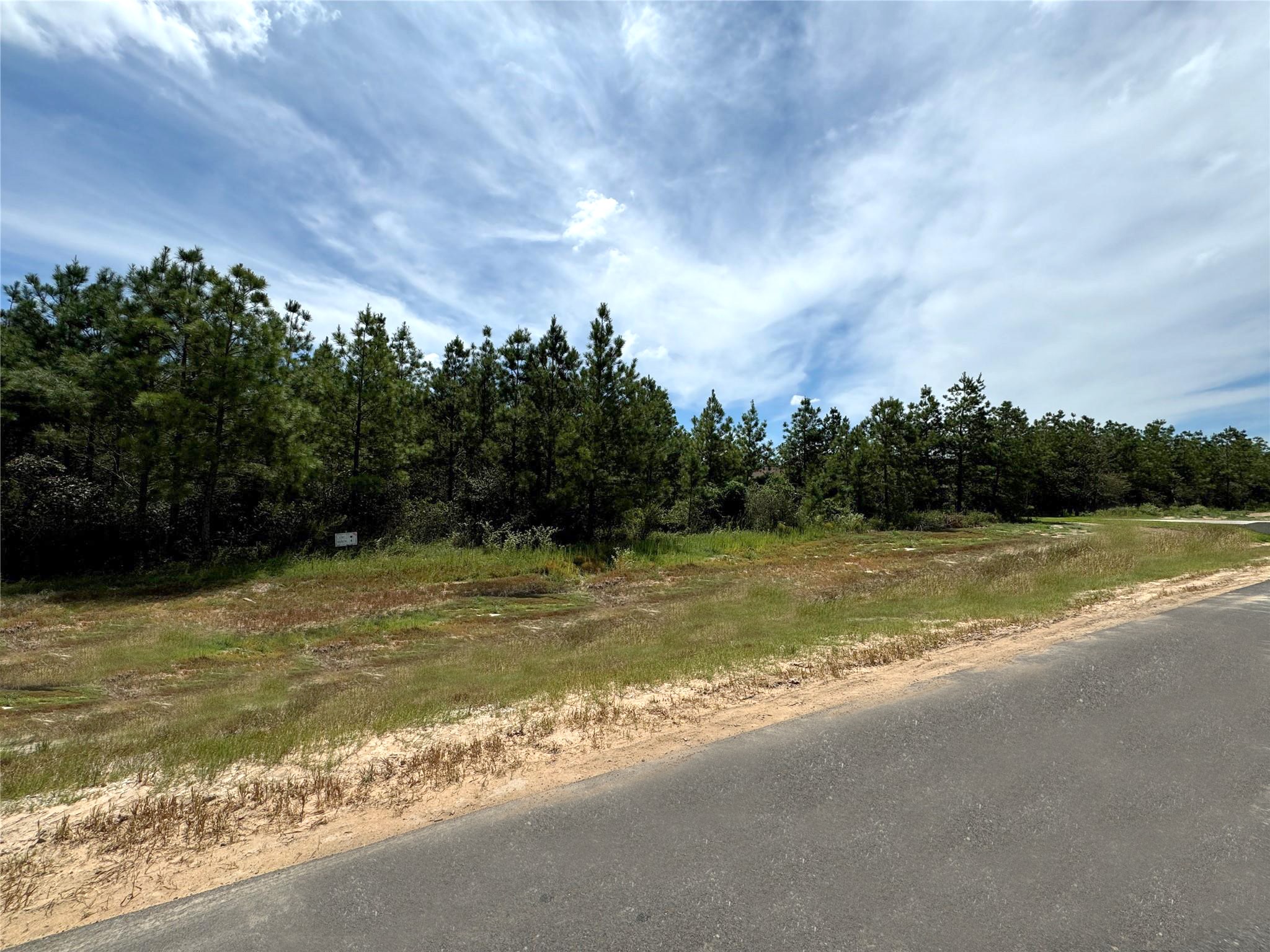 15925 Ridge Oak Road Willis, TX 77378 - Photo 5 of 19 a view of a swimming pool and lake view