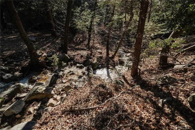 a kitchen with a stove and a sink