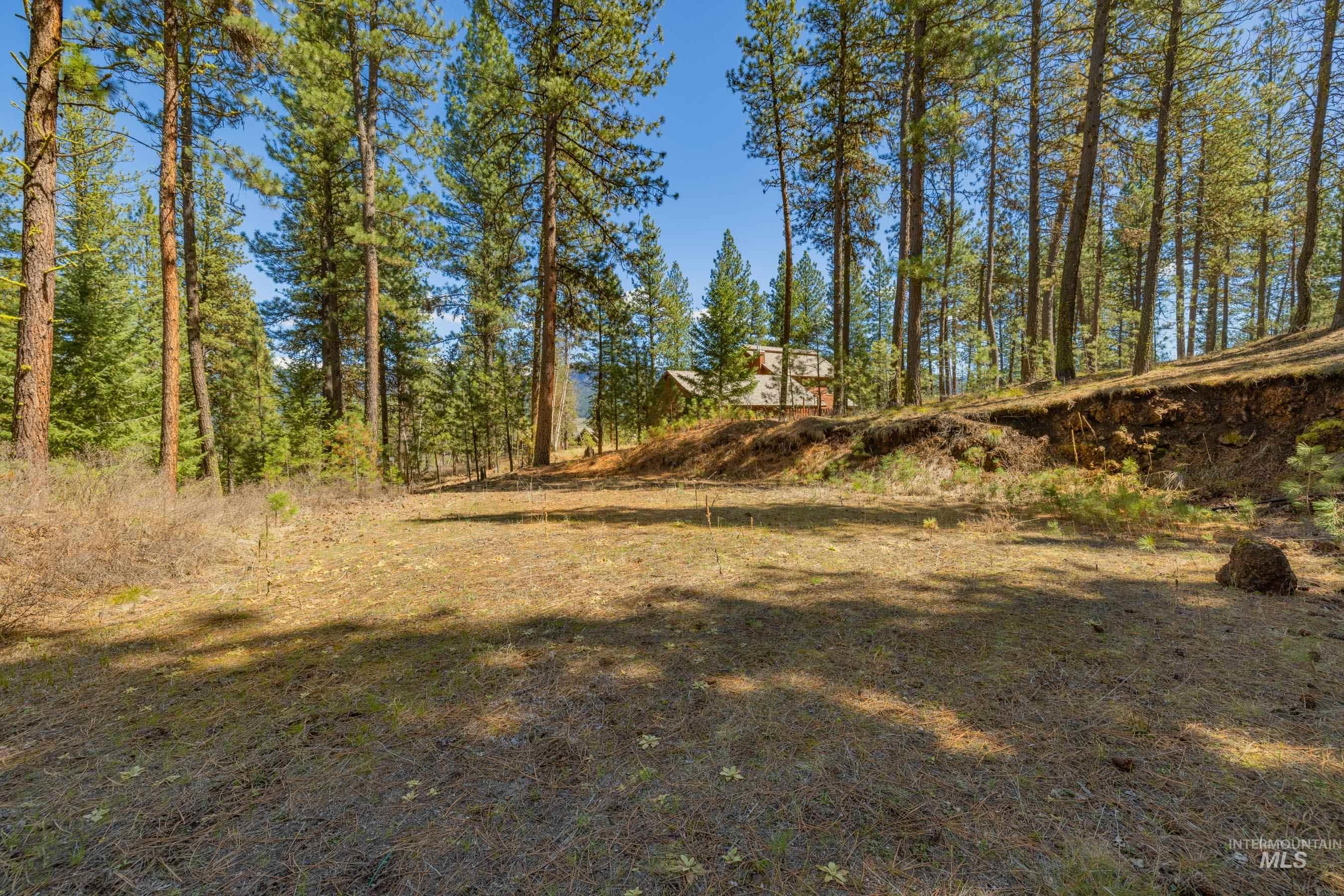 Lot 27 Hot Springs Road New Meadows, ID 83654 - Photo 6 of 23