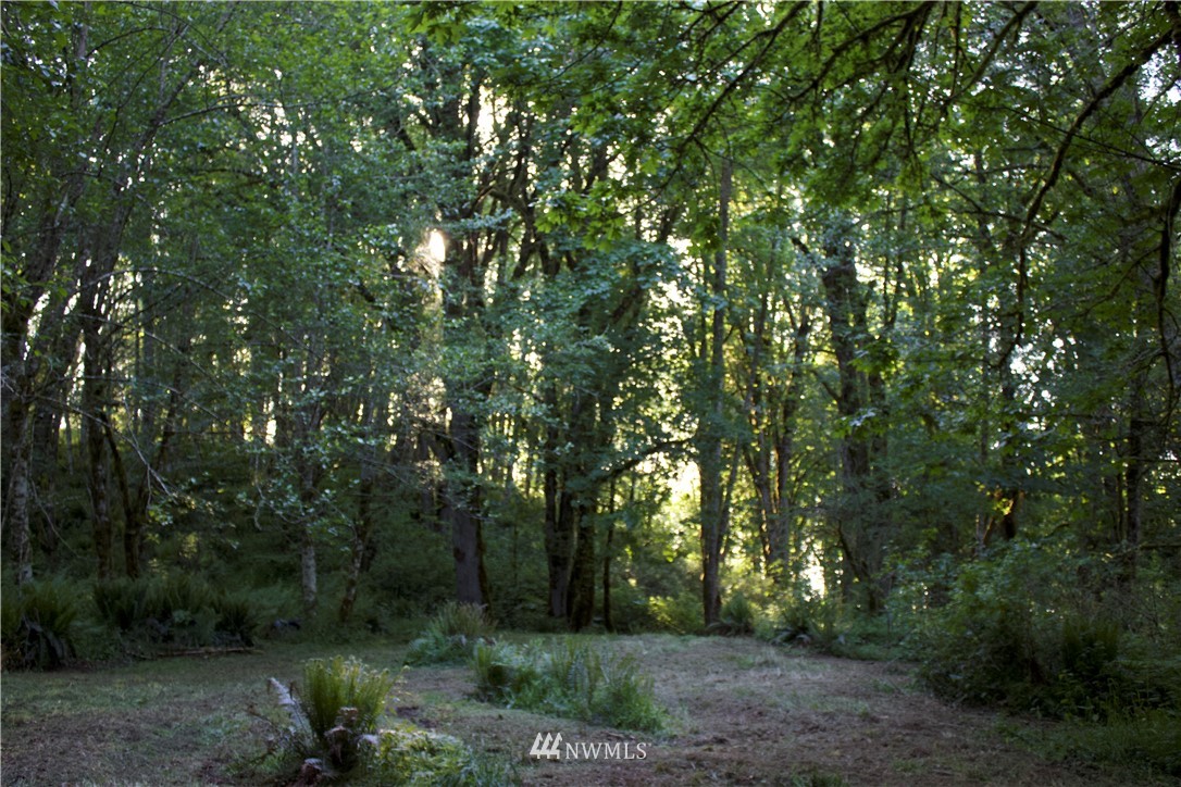 20035-39 Michigan Hill Road Southwest Rochester, WA 98579 - Photo 5 of 16