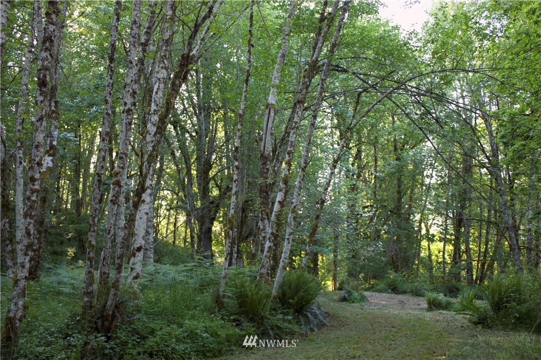 20035-39 Michigan Hill Road Southwest Rochester, WA 98579 - Photo 6 of 16