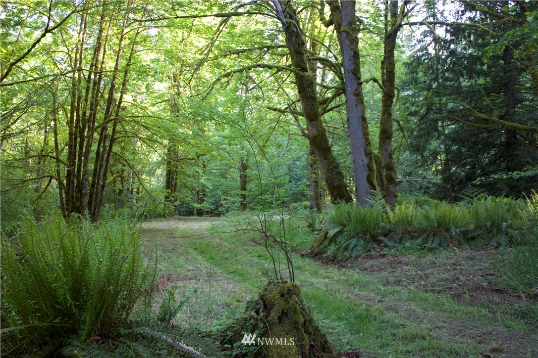 20035-39 Michigan Hill Road Southwest Rochester, WA 98579 - Photo 7 of 16