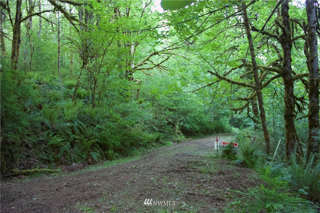 20035-39 Michigan Hill Road Southwest Rochester, WA 98579 - Photo 10 of 16