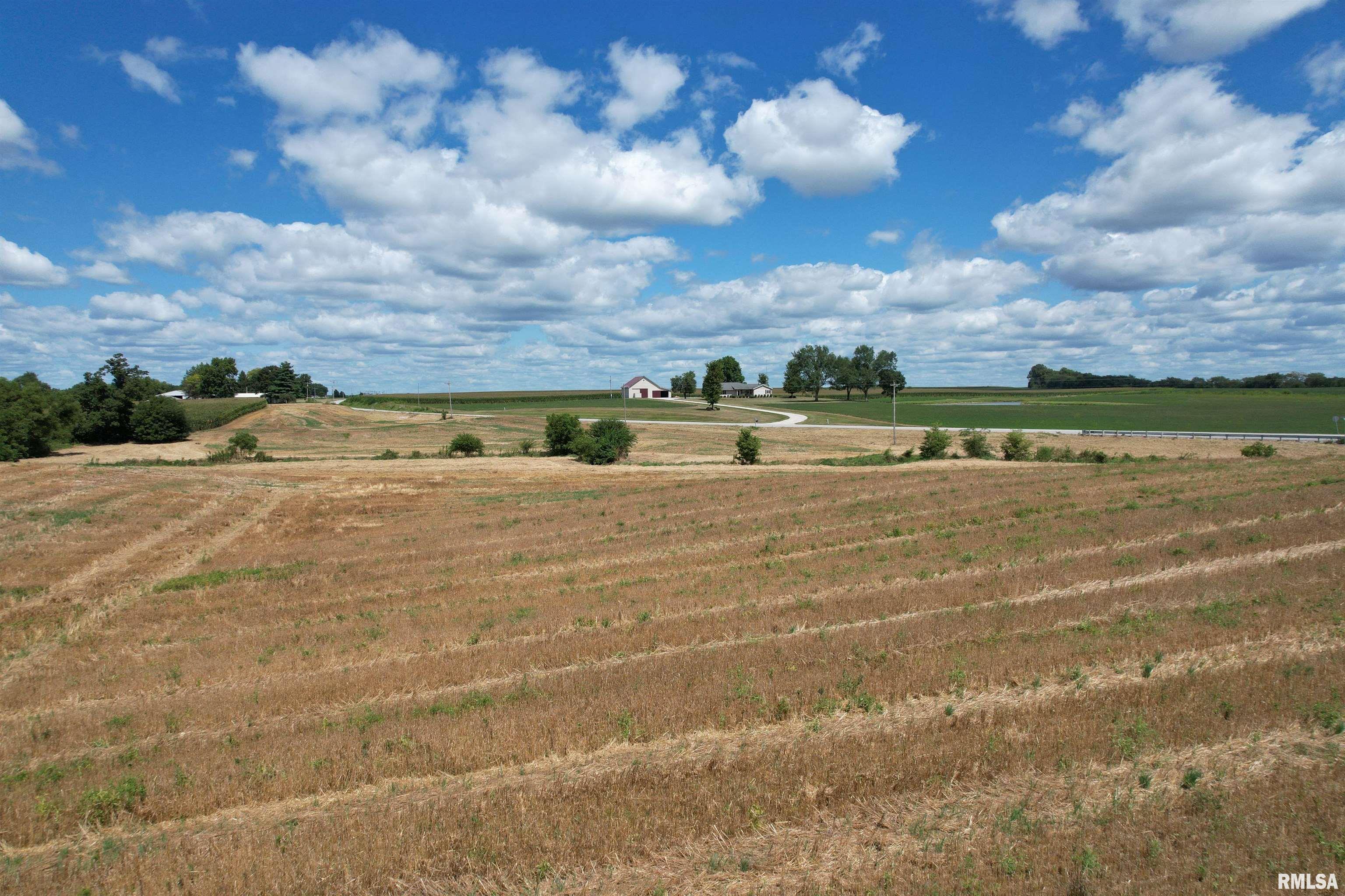Beilschmidt Road Alexander, IL 62601 - Photo 11 of 17