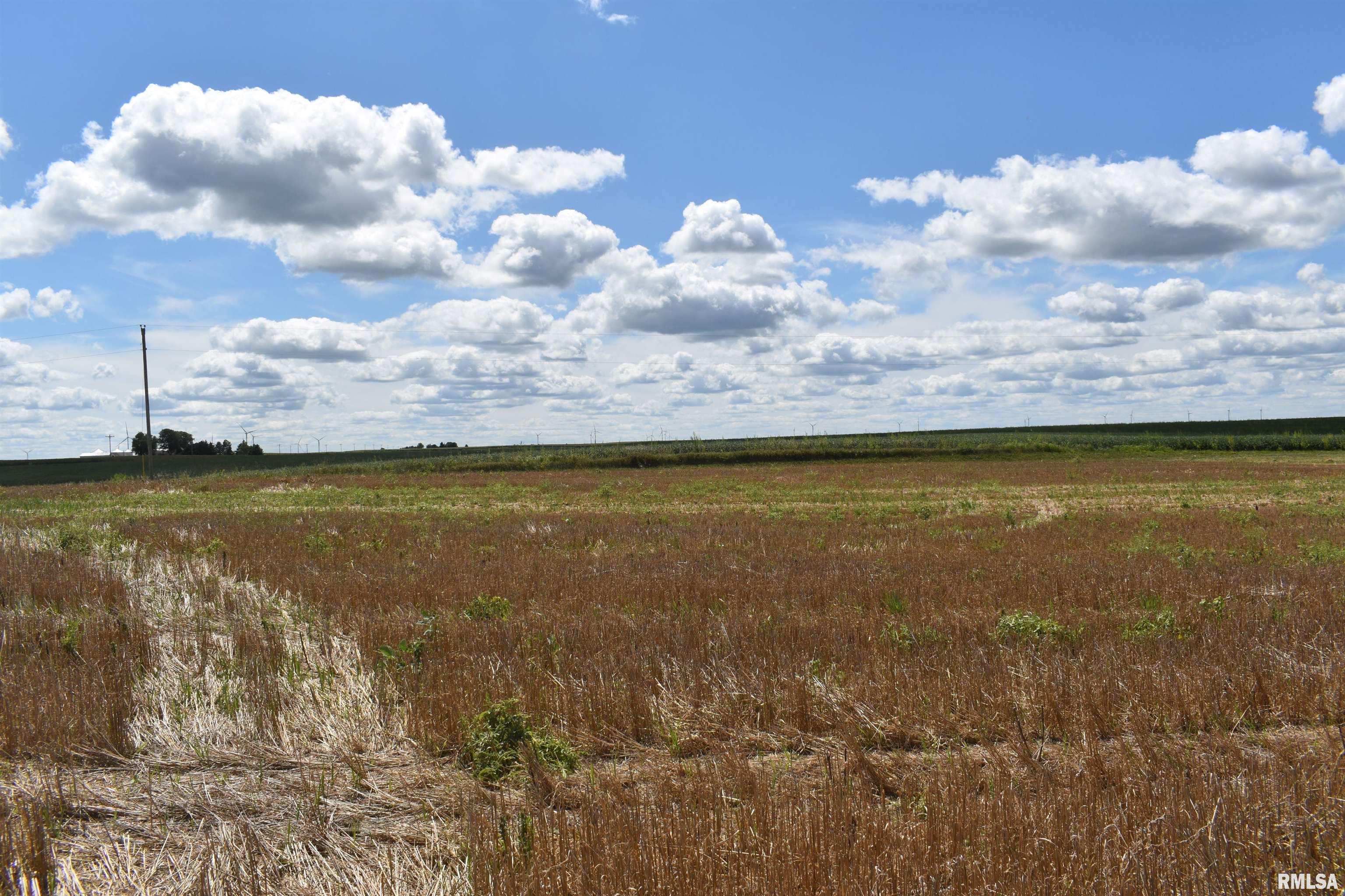 Beilschmidt Road Alexander, IL 62601 - Photo 12 of 17