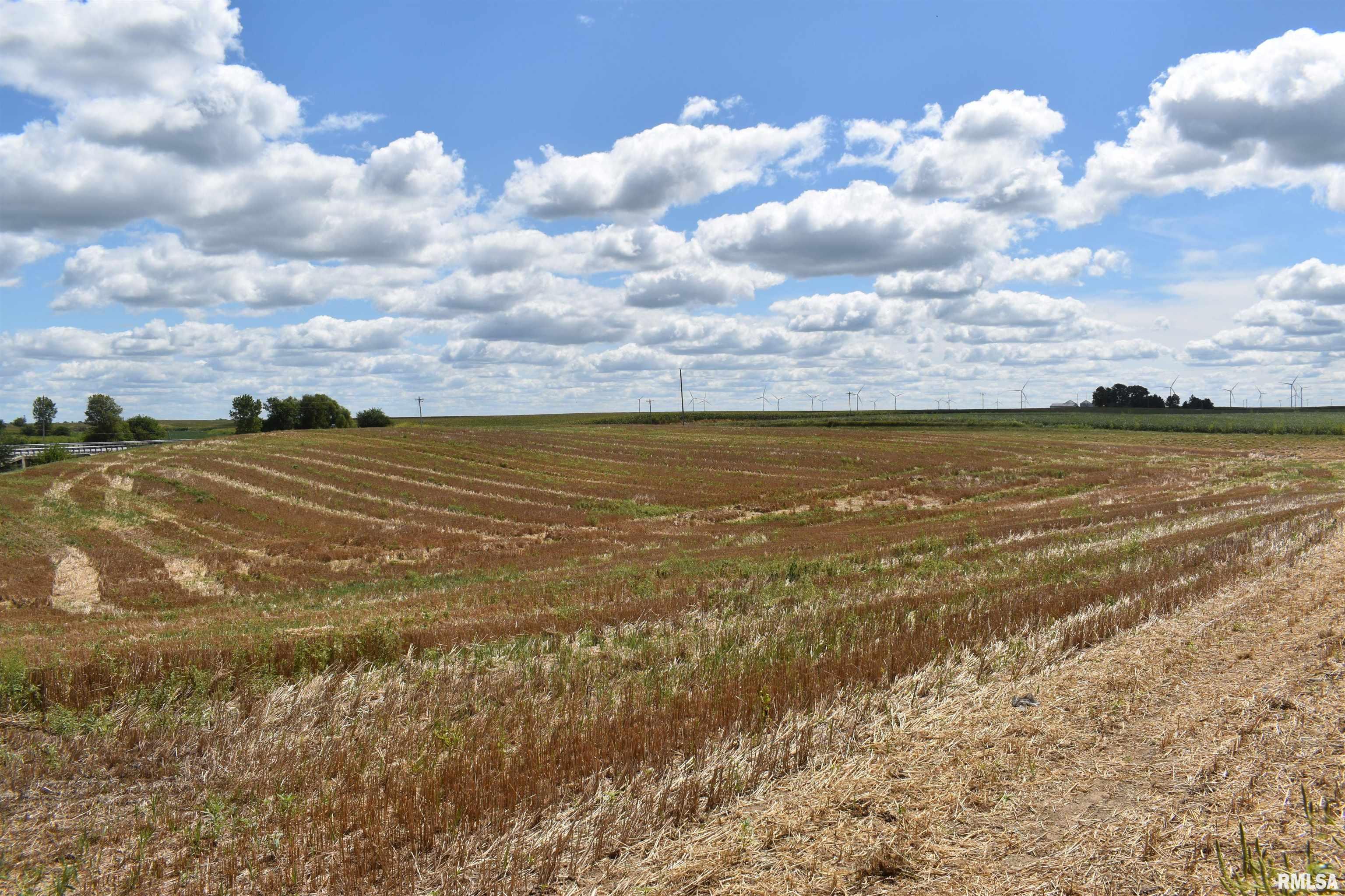Beilschmidt Road Alexander, IL 62601 - Photo 13 of 17