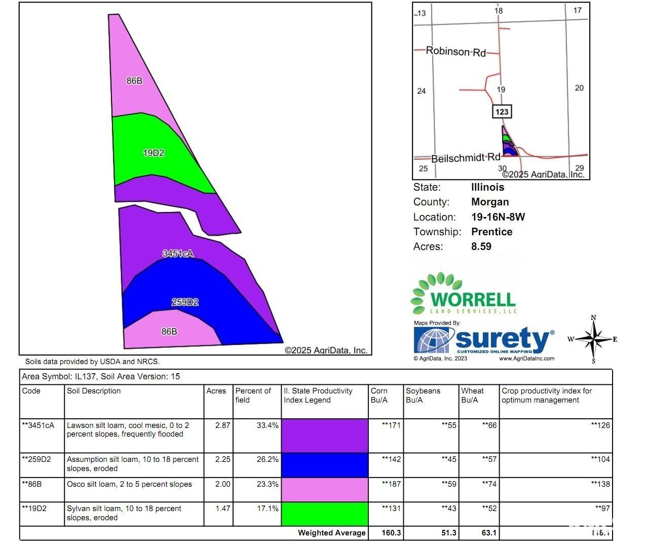 Beilschmidt Road Alexander, IL 62601 - Photo 15 of 17