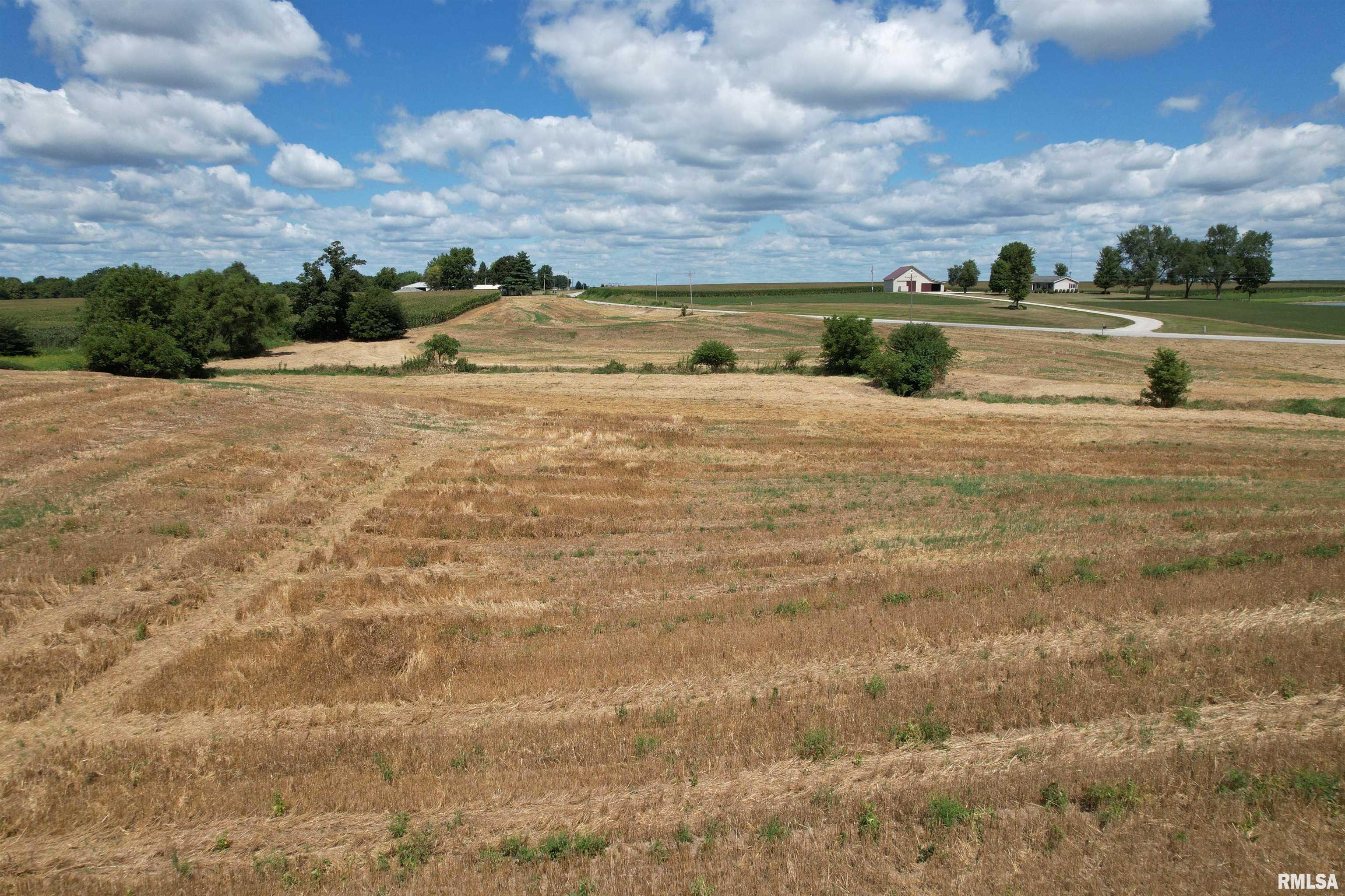 Beilschmidt Road Alexander, IL 62601 - Photo 4 of 17