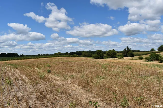 $110,000 | Beilschmidt Road, Alexander, IL 62601