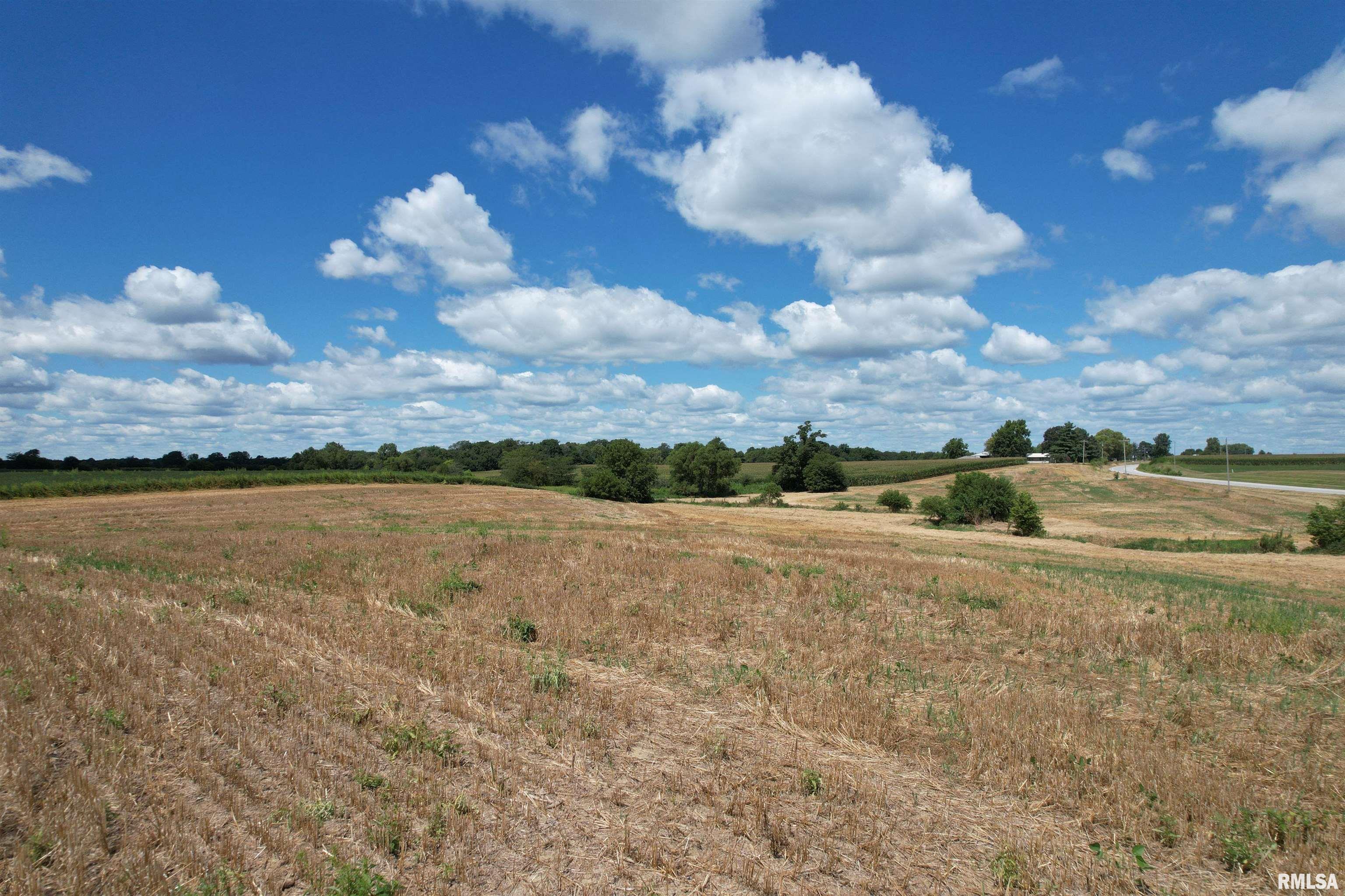 Beilschmidt Road Alexander, IL 62601 - Photo 6 of 17