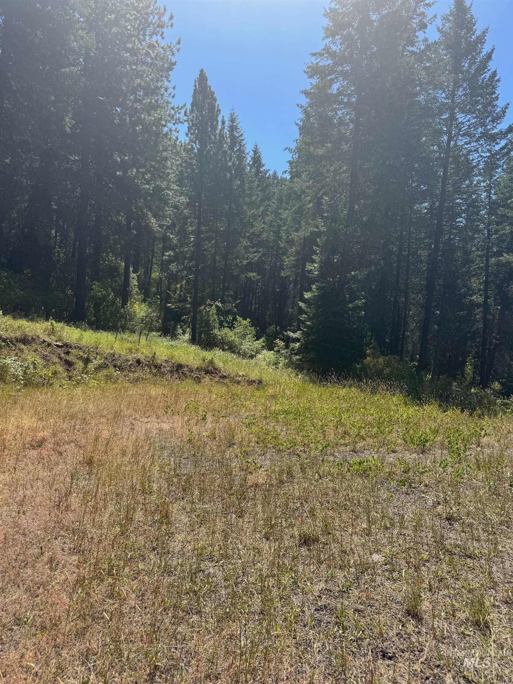 426 Lower Rnch Drive New Meadows, ID 83654 - Photo 11 of 17