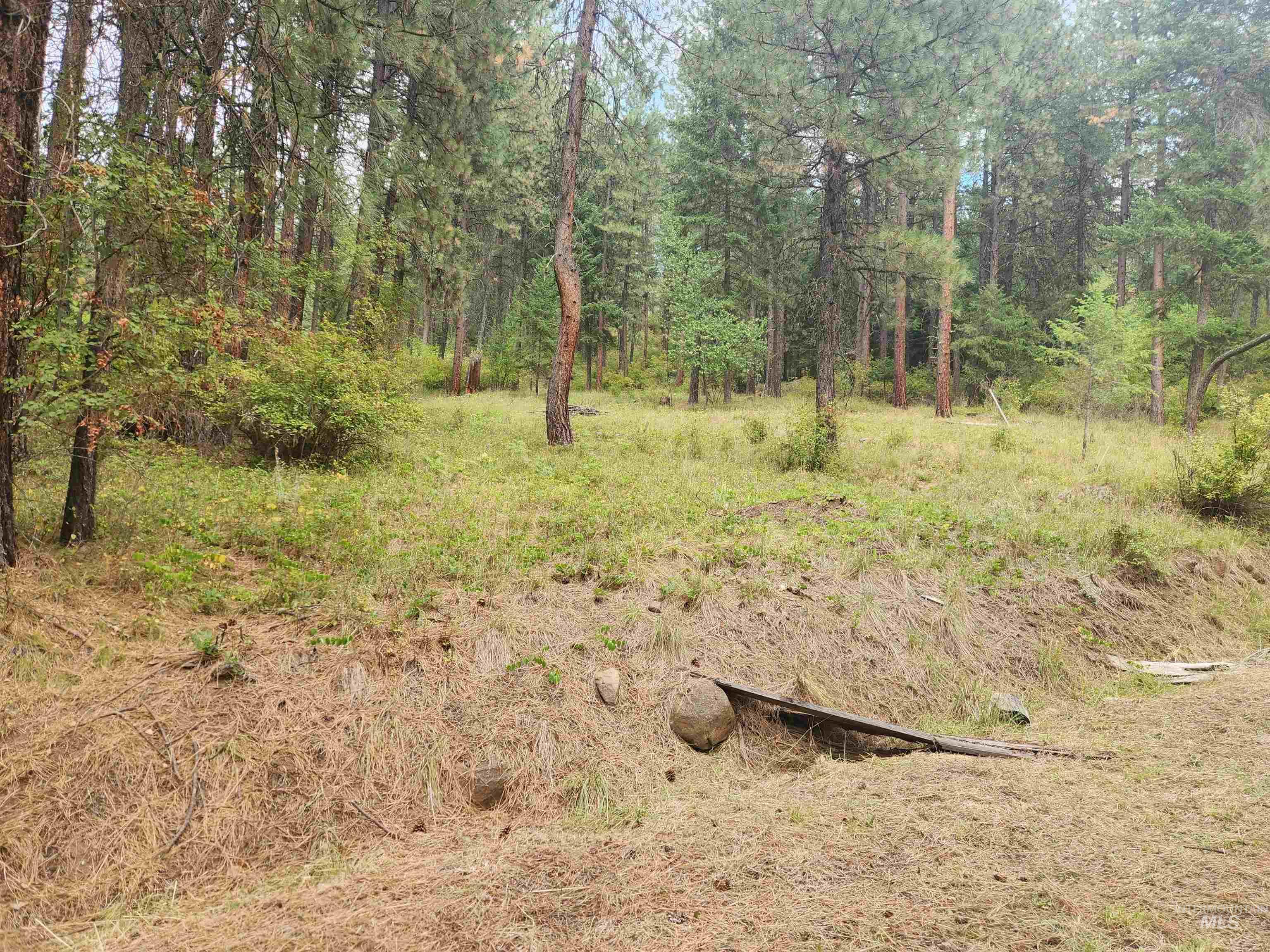 426 Lower Rnch Drive New Meadows, ID 83654 - Photo 4 of 17