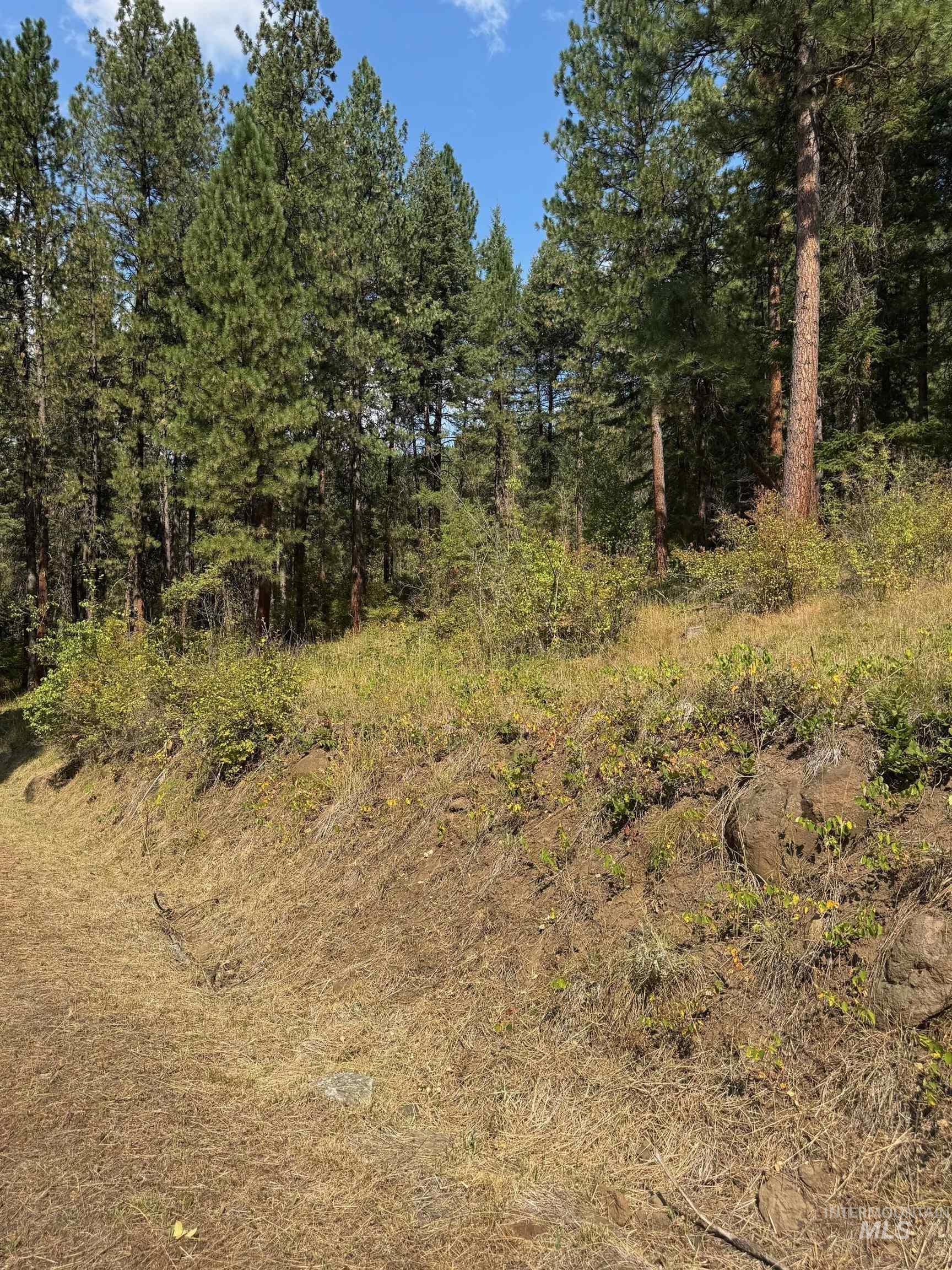 426 Lower Rnch Drive New Meadows, ID 83654 - Photo 10 of 17