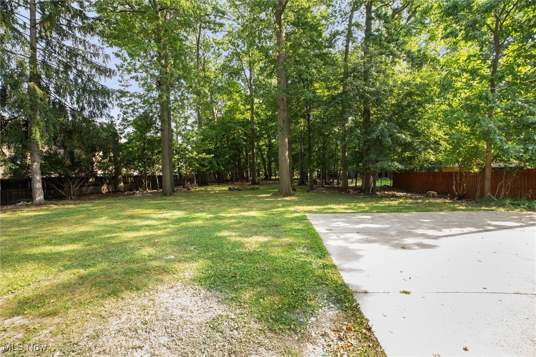 12241 Huffman Road Cleveland, OH 44130 - Photo 38 of 43 View of yard