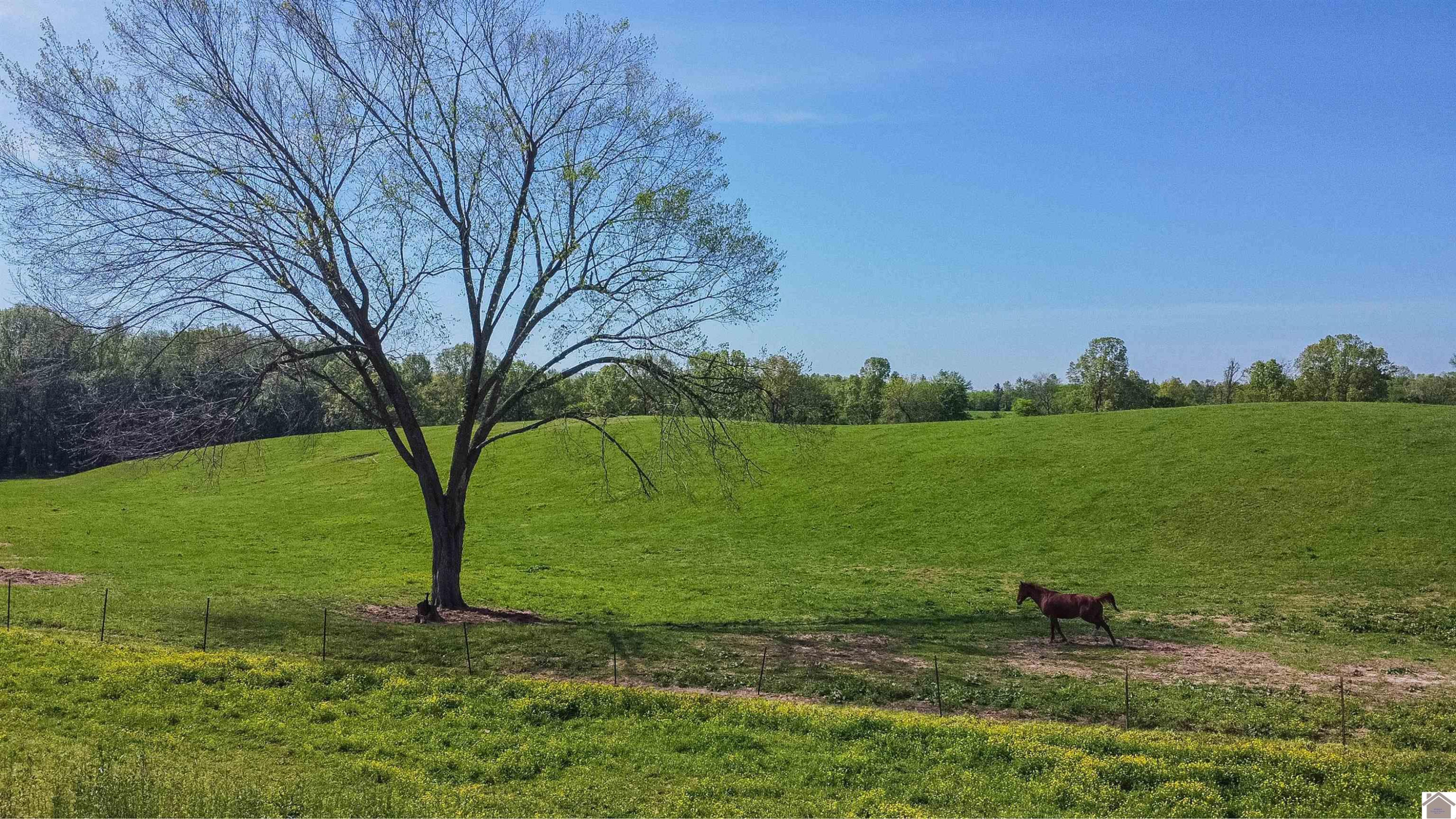 715 Corinth Church Road Grand Rivers, KY 42045 - Photo 25 of 47 Photo 25