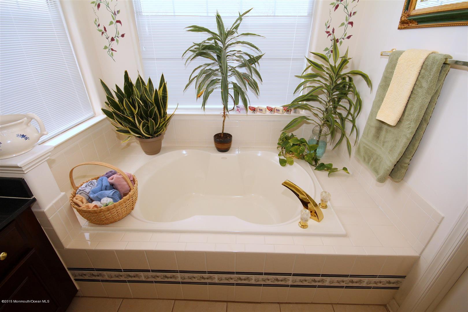 3 Ripple Terrace Barnegat, NJ 08005 - Photo 23 of 40 Soaking Tub