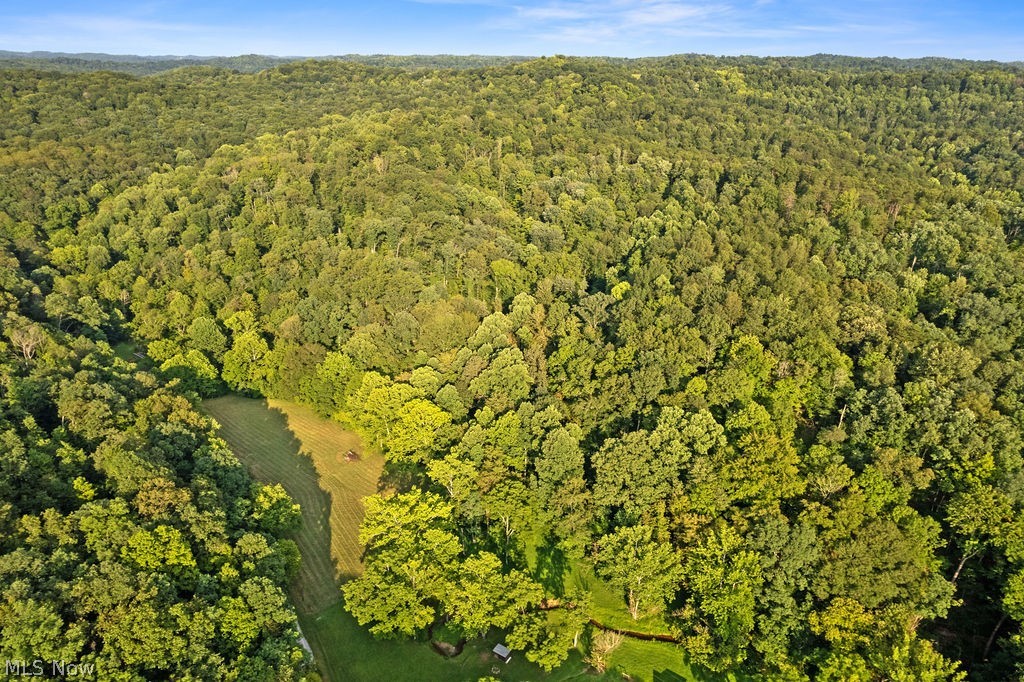 102 Logston Run Road Ravenswood, WV 26164 - Photo 33 of 42 Expansive wooded acreage featuring diverse tree species and a visible clearing