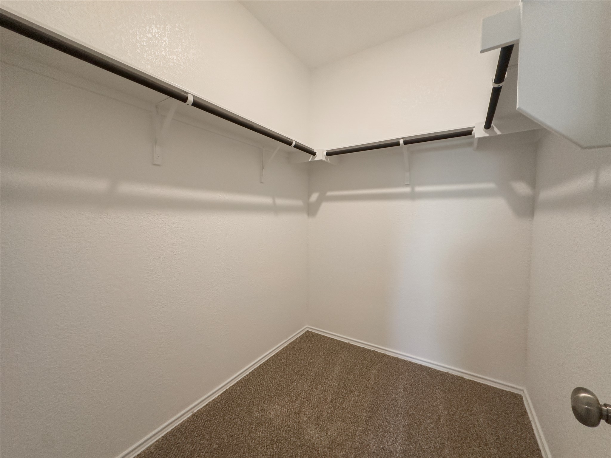 312 Soapstone Pass Maxwell, TX 78656 - Photo 9 of 21 Walk-in closet with textured white walls, durable carpet flooring, and a comprehensive hanging rod system with shelving