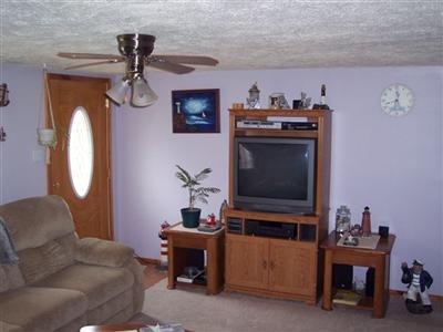 295 Cadet Road Coldwater, MI 49036 - Photo 3 of 7 Additional Photo