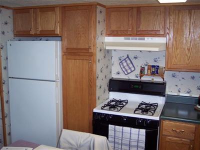 295 Cadet Road Coldwater, MI 49036 - Photo 4 of 7 Additional Photo