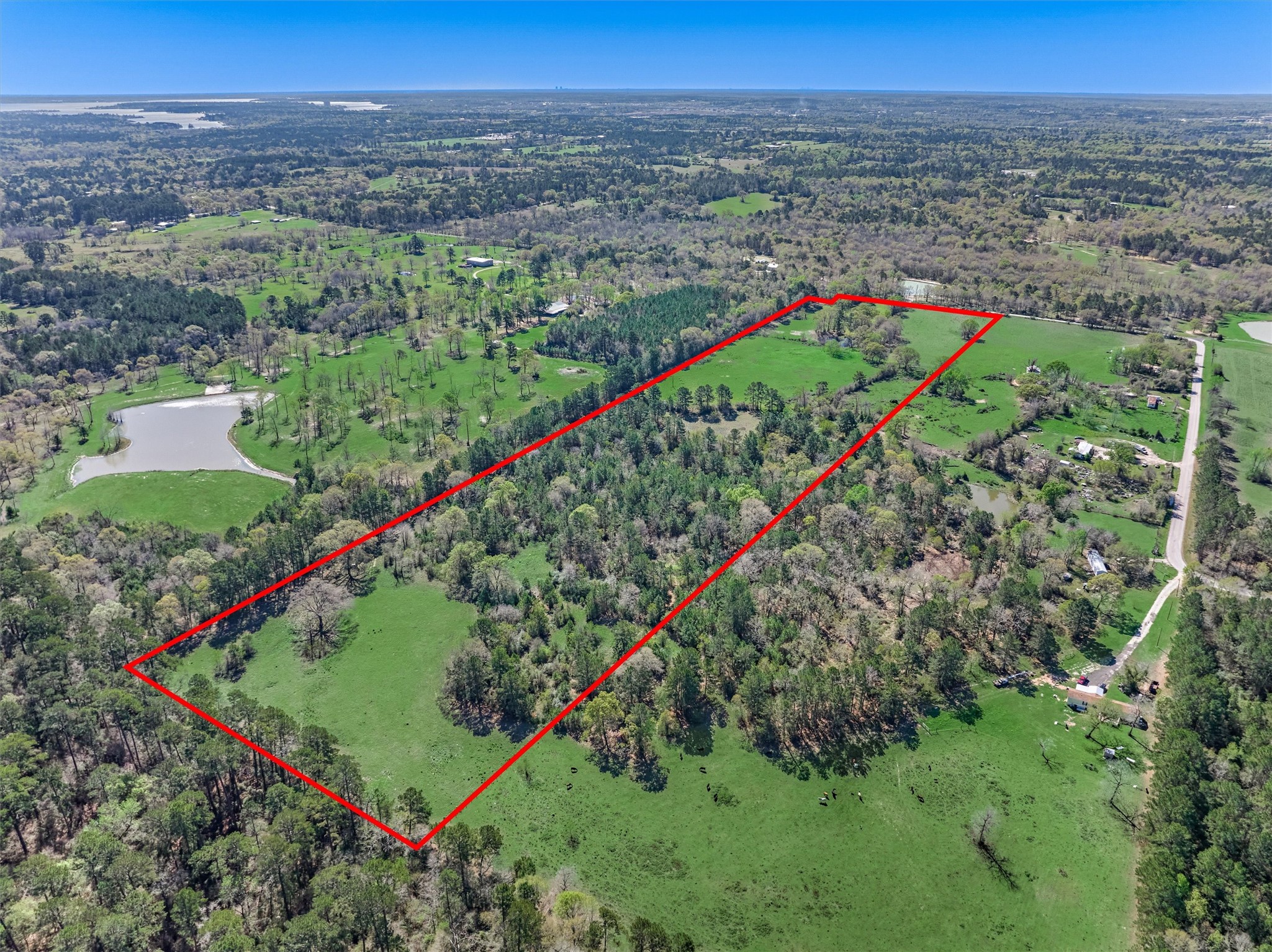 Tbd Bailey Grove Road Montgomery, TX 77356 - Photo 11 of 17 a view of a city