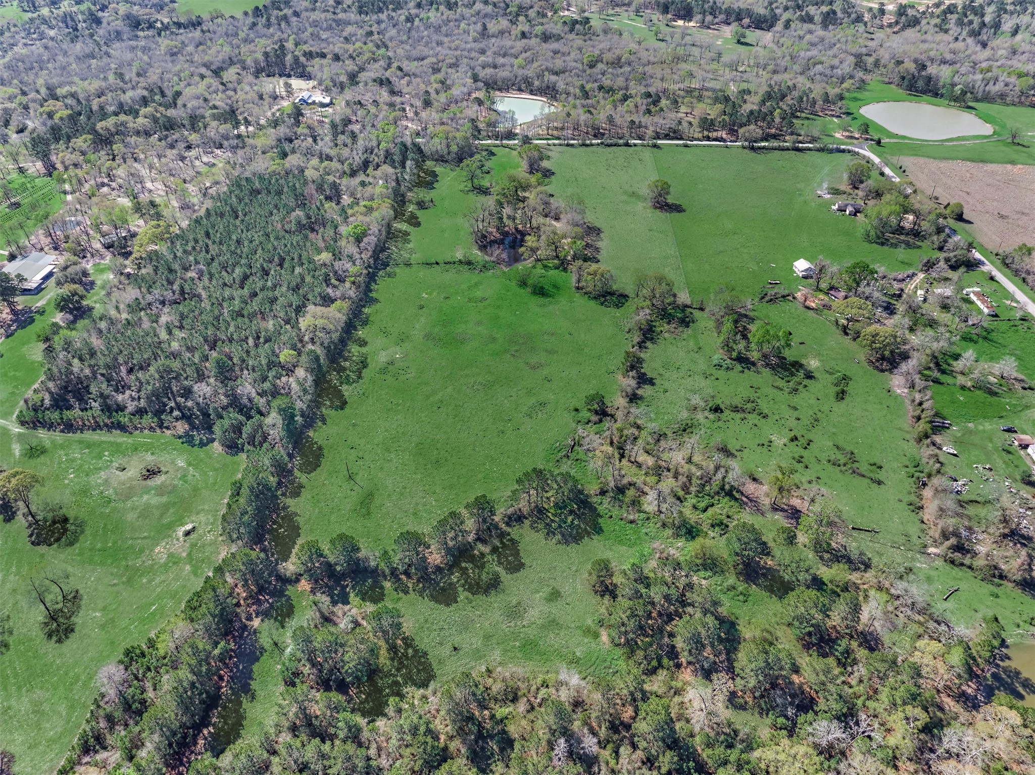 Tbd Bailey Grove Road Montgomery, TX 77356 - Photo 12 of 17 a view of a garden with a lake view