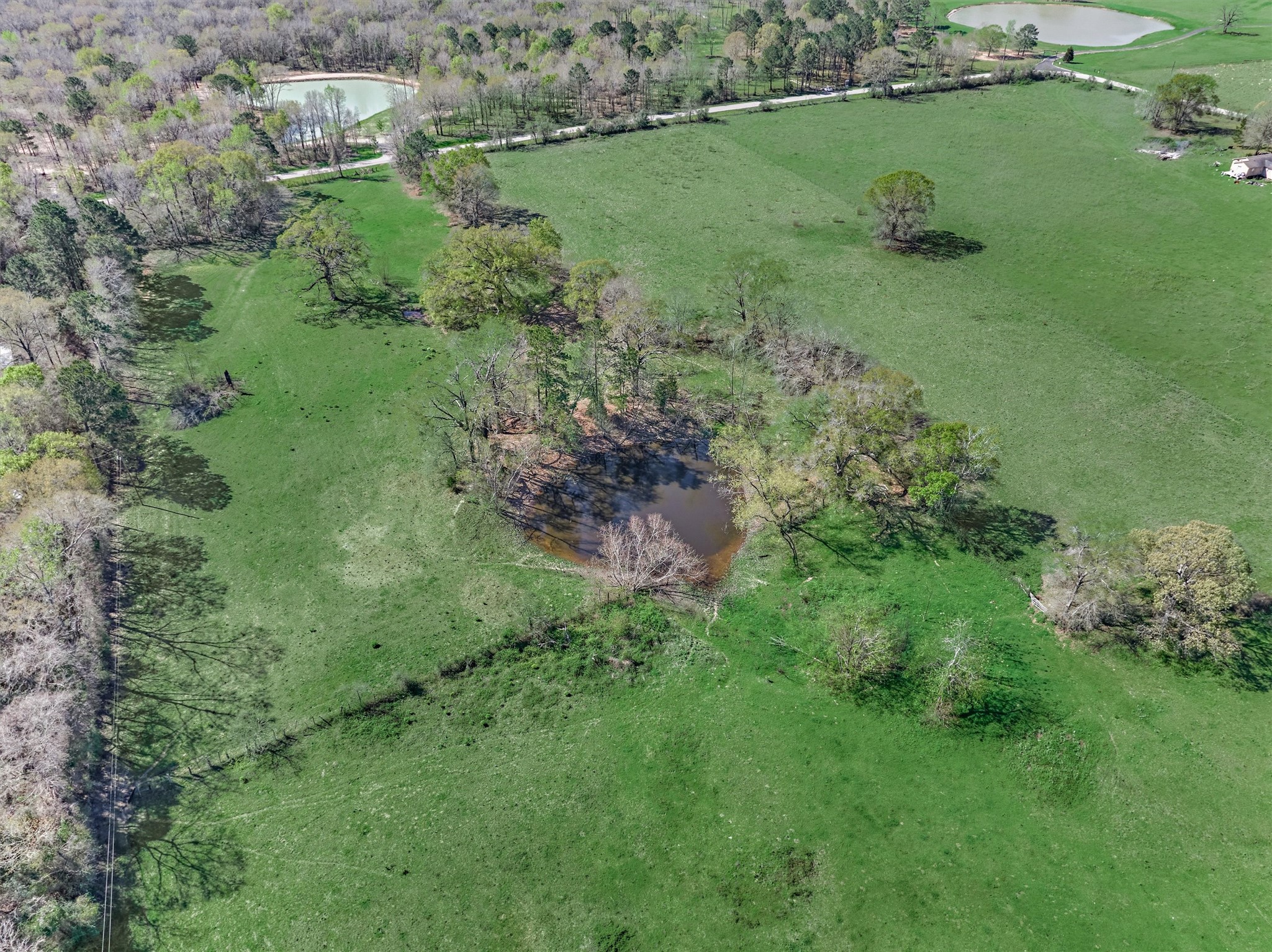 Tbd Bailey Grove Road Montgomery, TX 77356 - Photo 13 of 17 a view of a garden with a lake