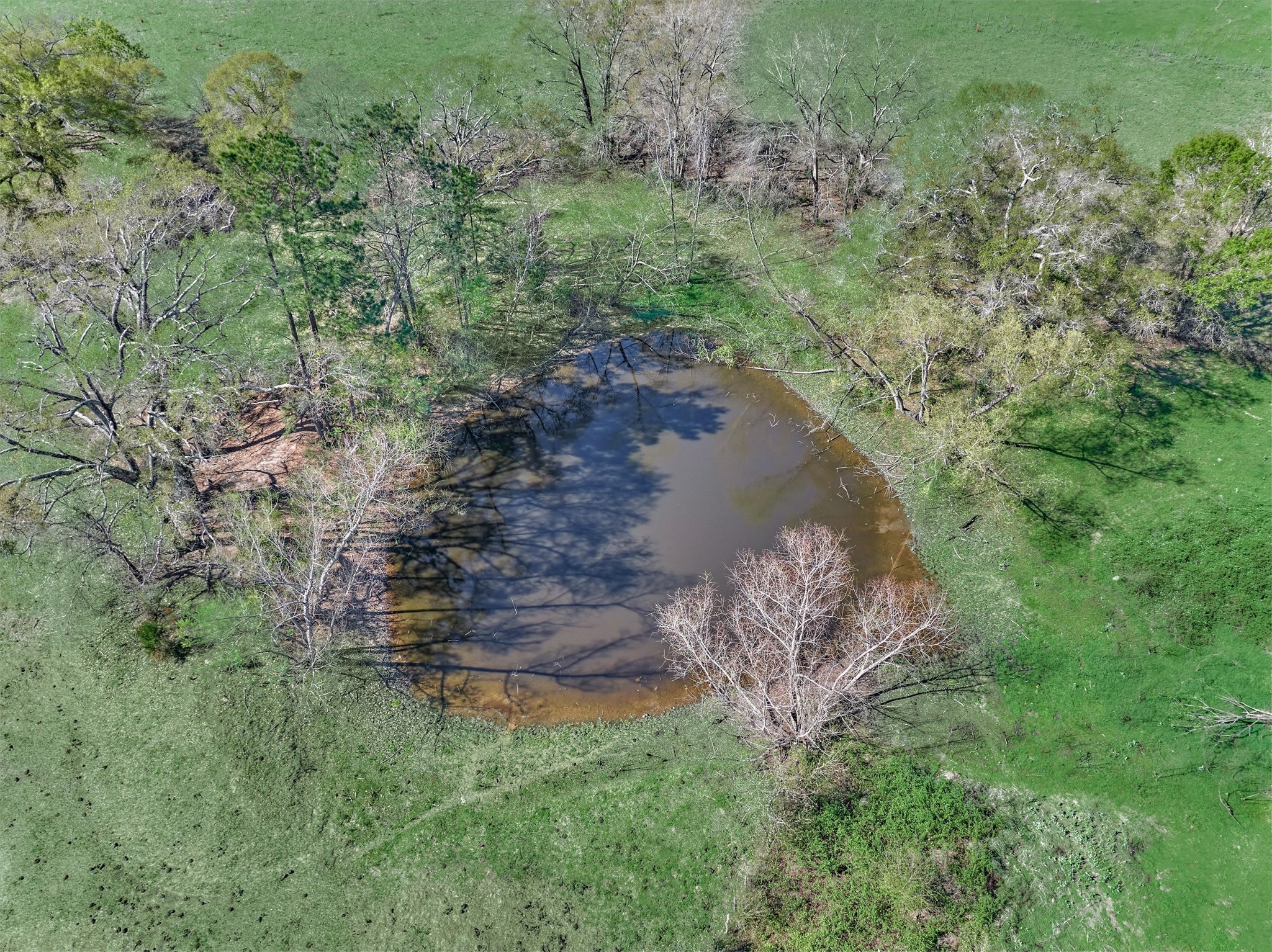 Tbd Bailey Grove Road Montgomery, TX 77356 - Photo 14 of 17 a backyard of a house with a yard and outdoor seating