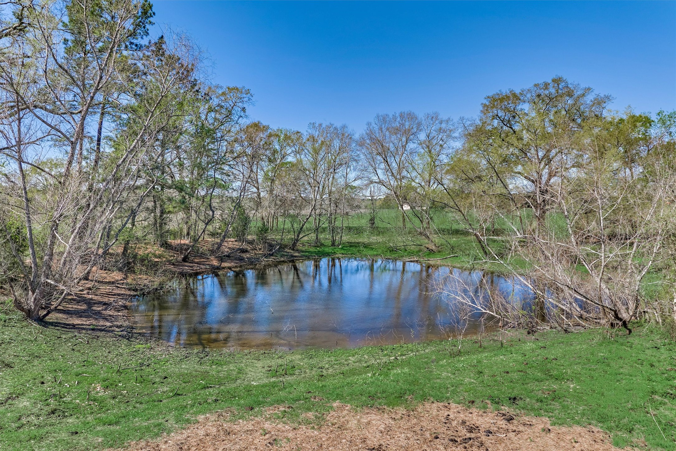 Tbd Bailey Grove Road Montgomery, TX 77356 - Photo 15 of 17 a view of a backyard with green space